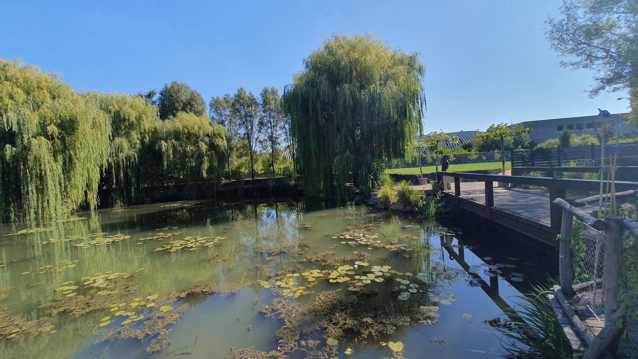 Kleiner See im Eko-Park