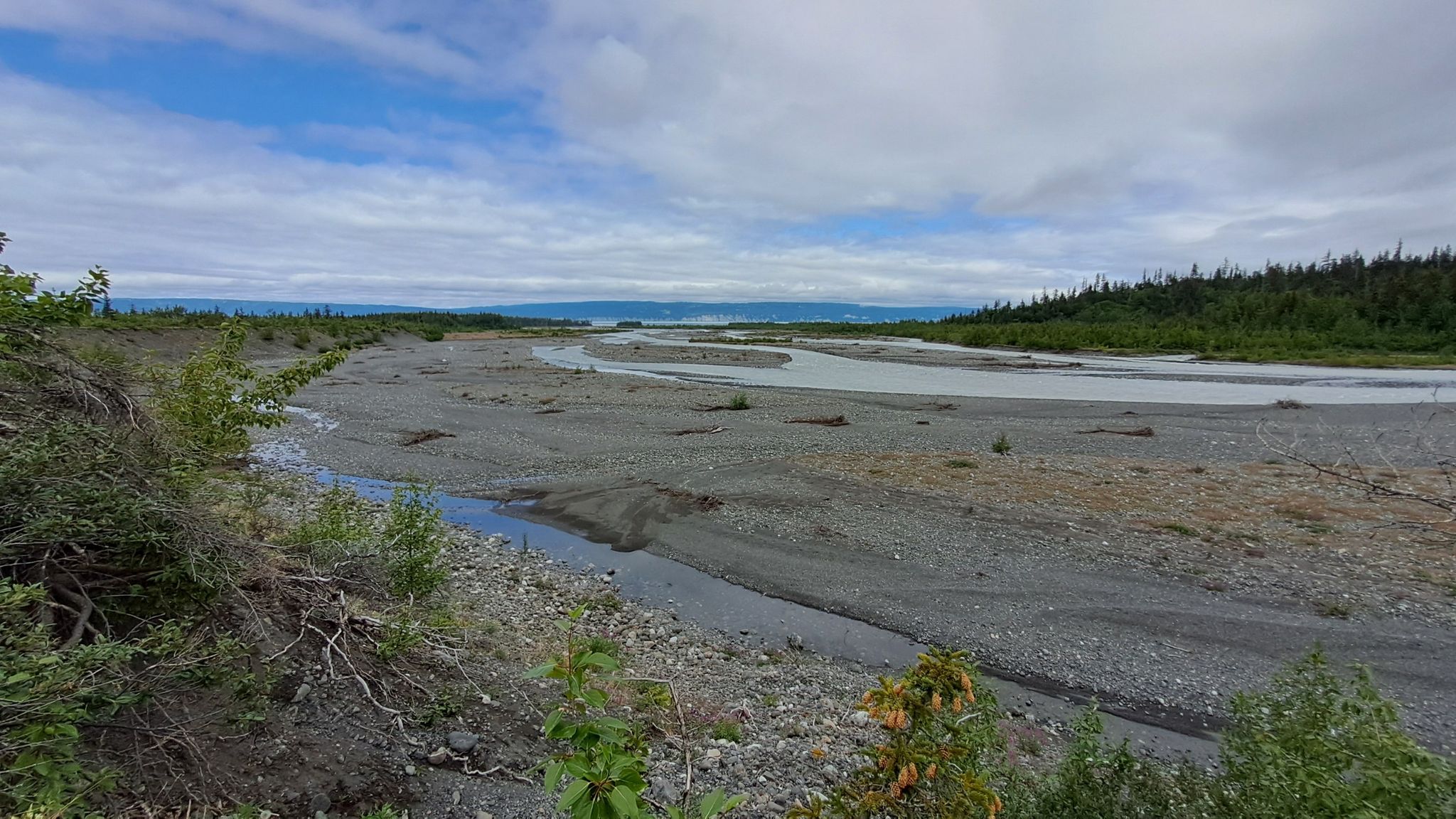 Wide riverbed with multiple water channels, surrounded by green vegetation. - Grewingk Lake and Saddle Trail