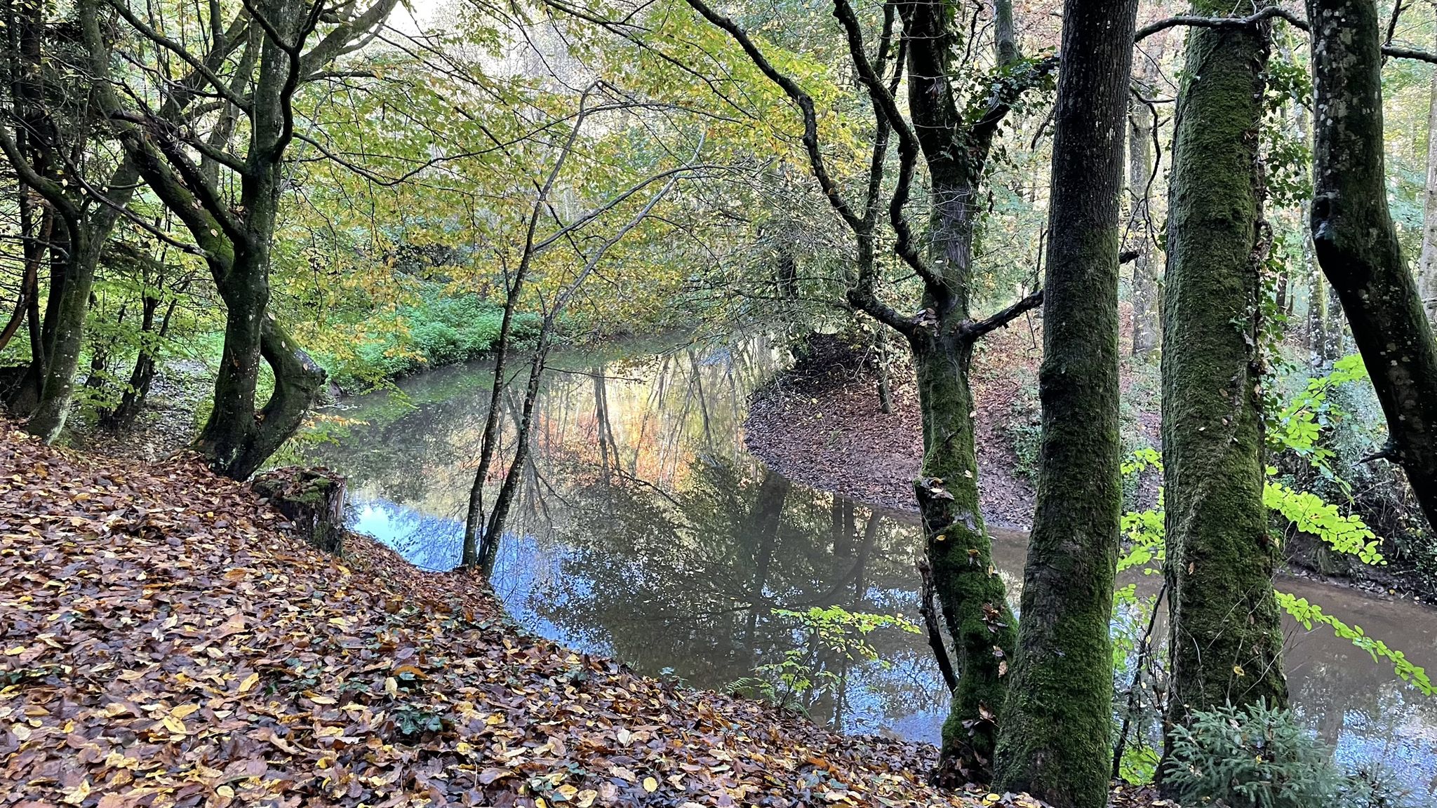 Entre Dossenheim et Graufthal 5
