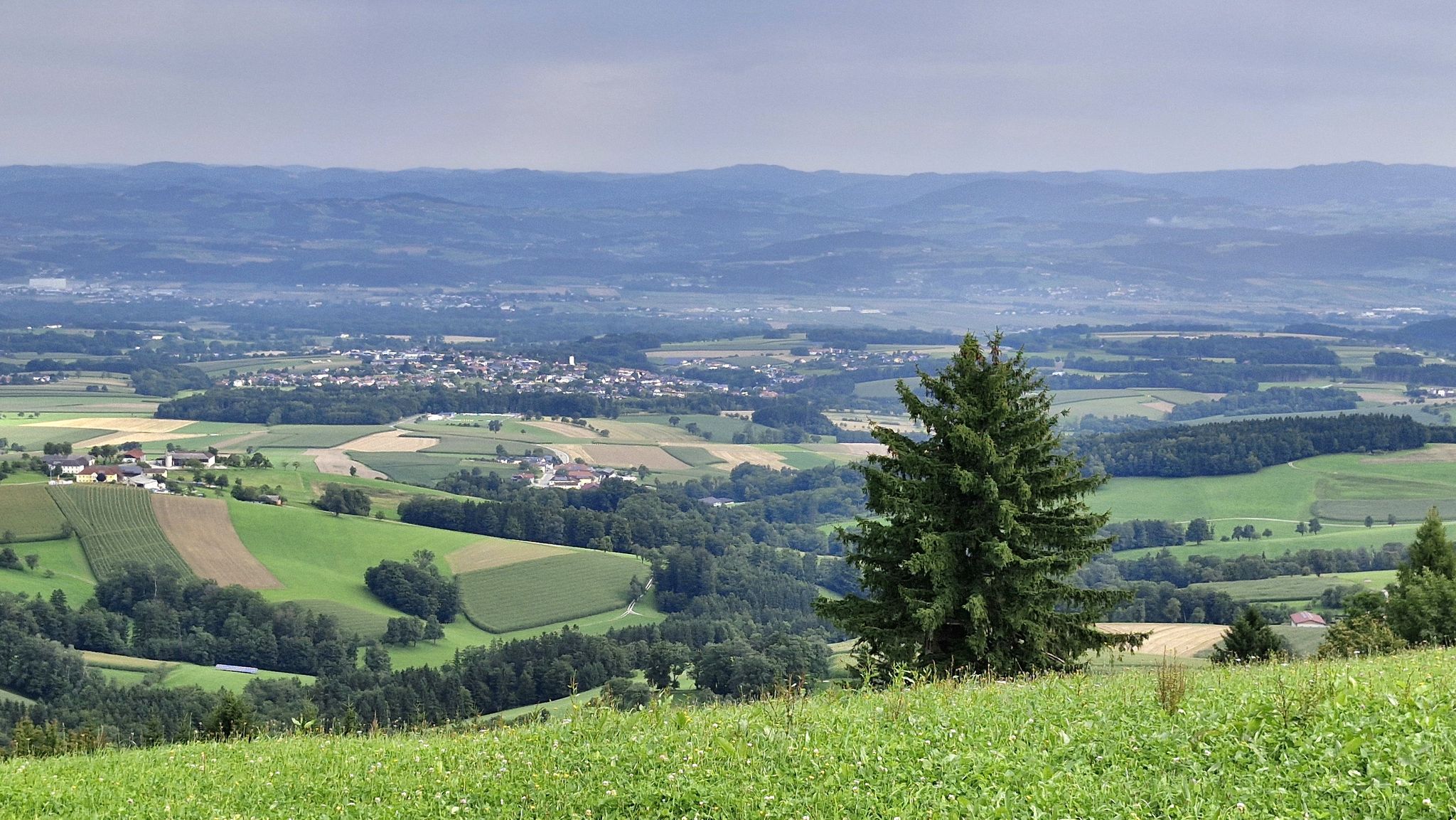Richtung Euratsfeld