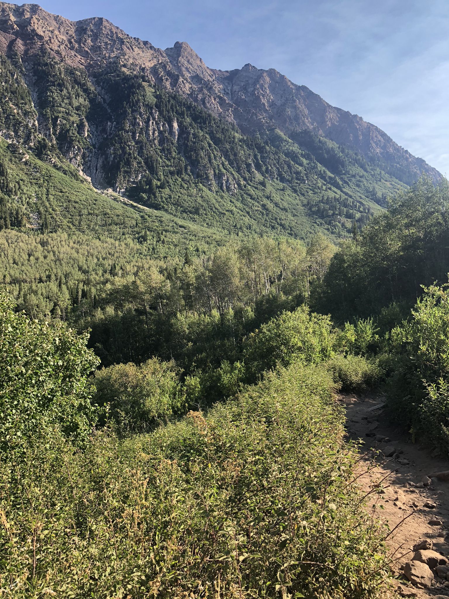 A lush green mountain valley with steep forested slopes under a bright sky. - Gloria Falls Trail