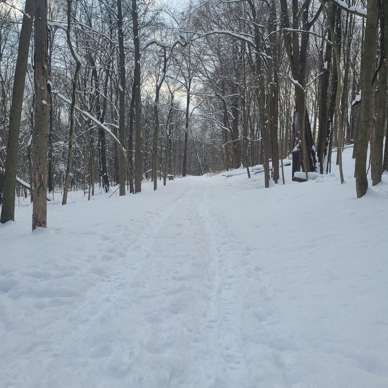 Snow-covered path through a bare winter forest under a cloudy sky. - Kalamazoo Nature Center – Glenn Allen Island Preserve loop from Parchment