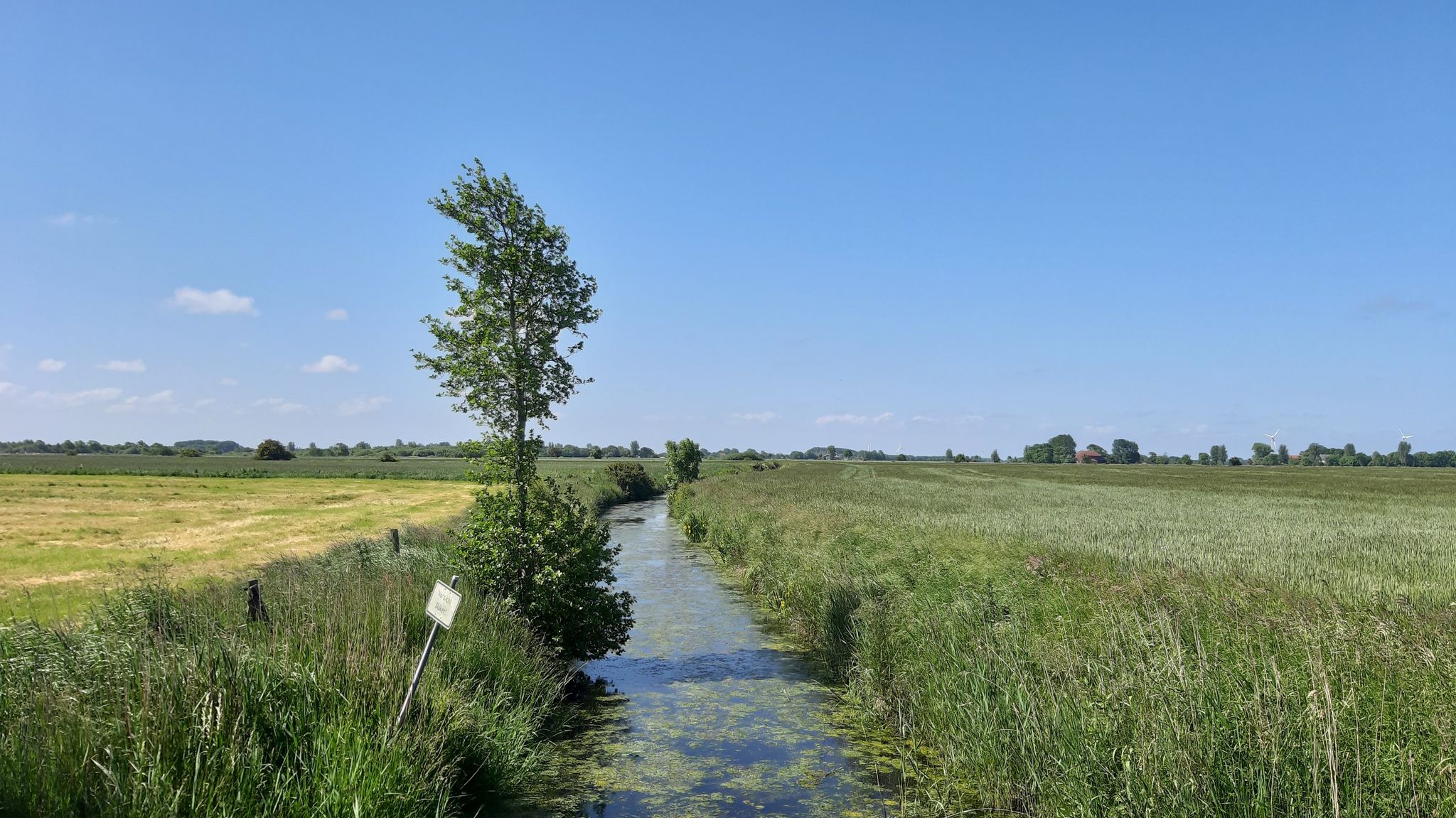 Düker