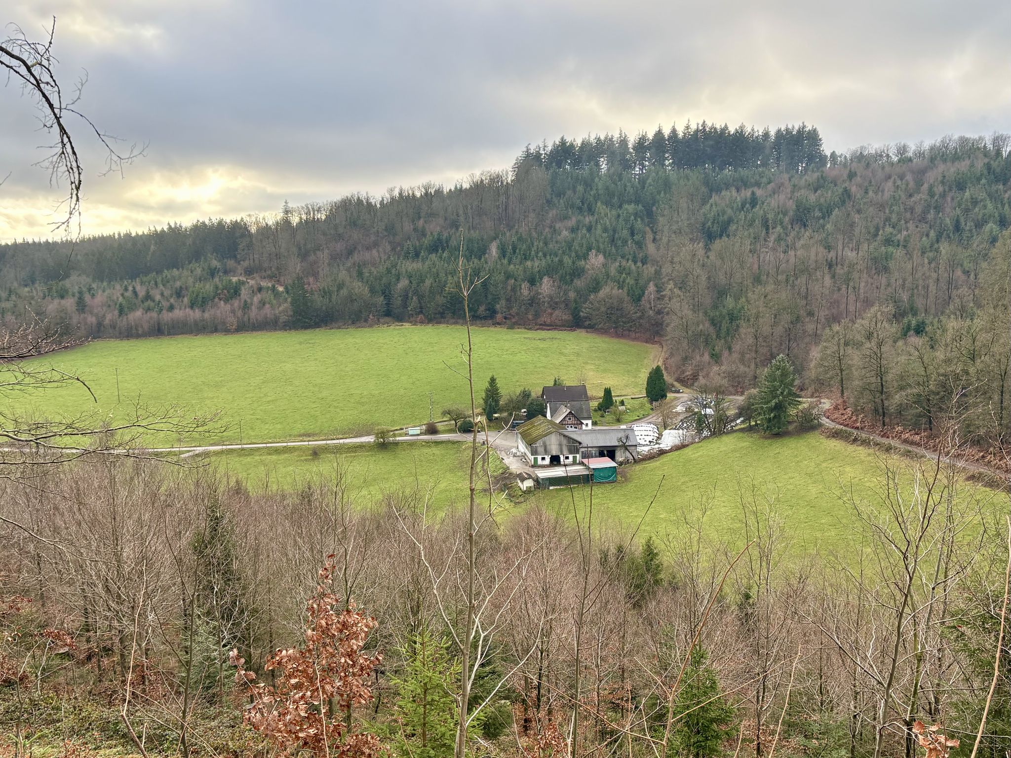 Kuchenwald