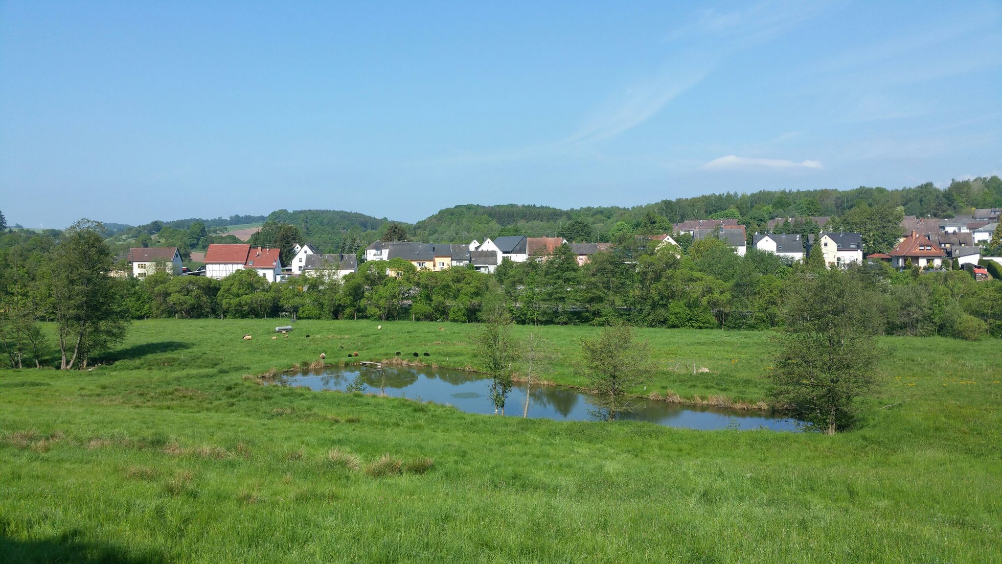 Birkenfeld Ortsrand