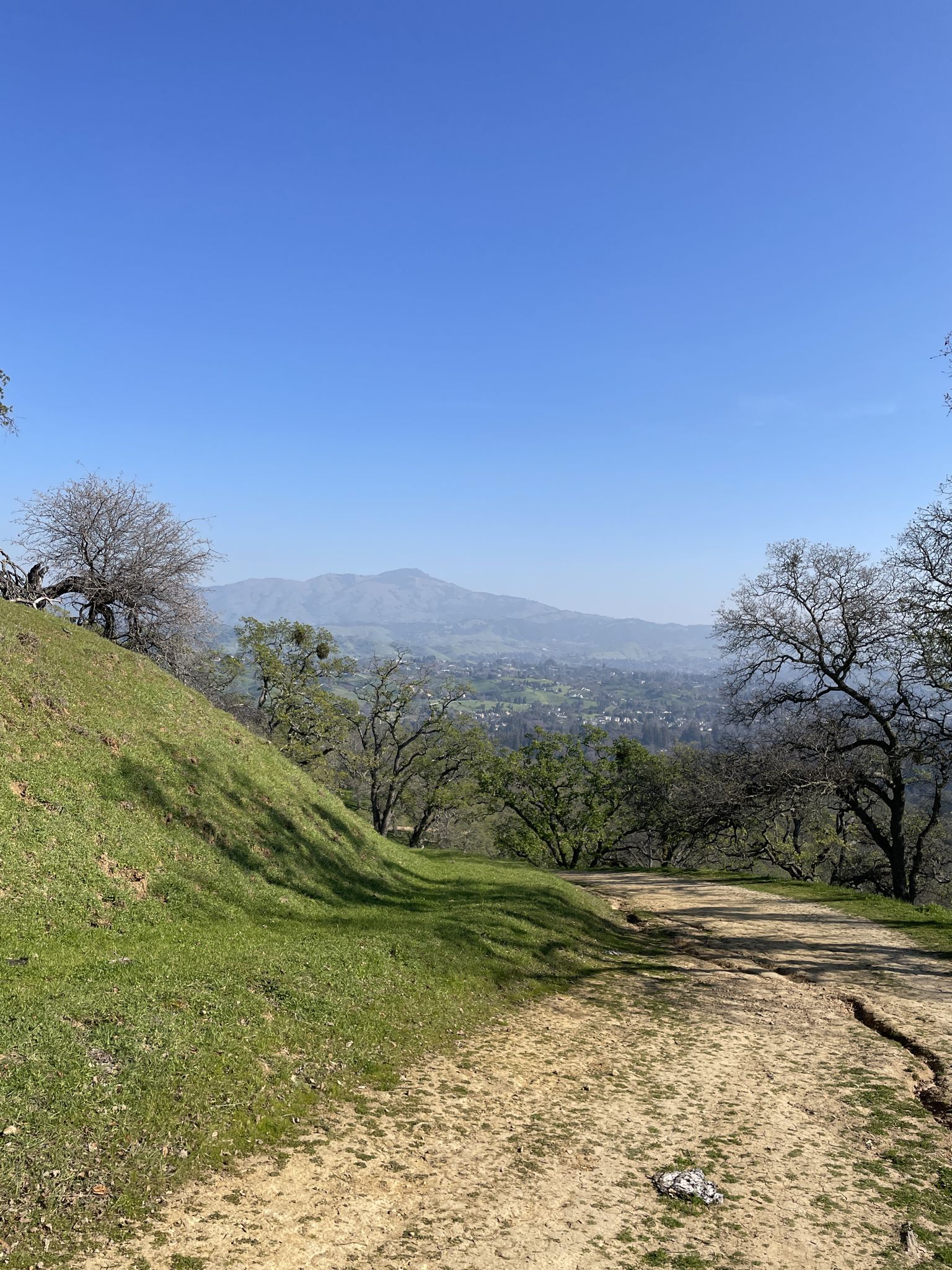 A dirt path winds through green hills with a hazy mountain in the distance. - Del Amigo, Virgil Williams, and Madrone Trail Loop