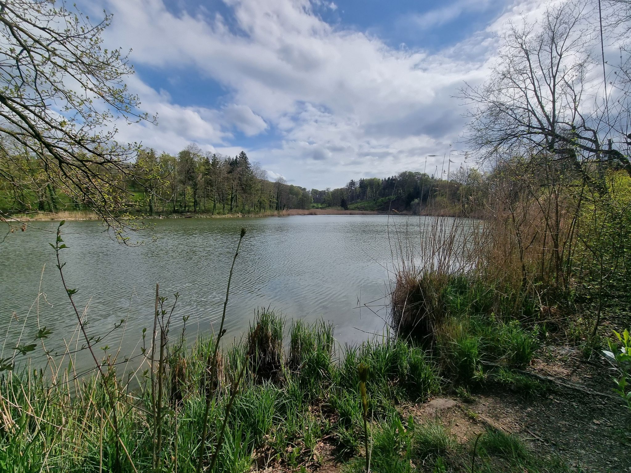 Widdersberger Weiher