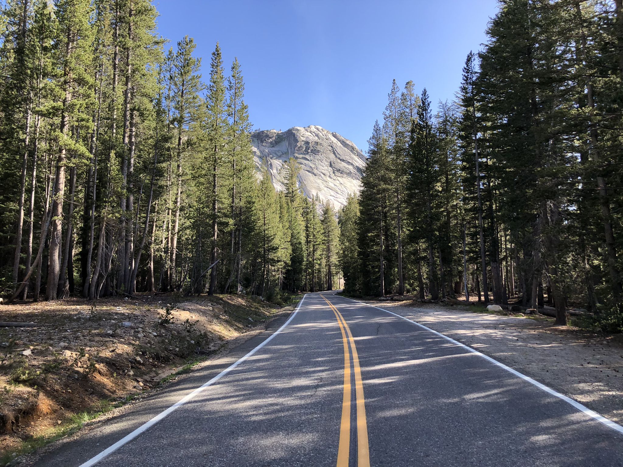 Paved road through a pine forest leading to a distant mountain. - Toulumne Meadows to Hetch Hetchy Reservoir