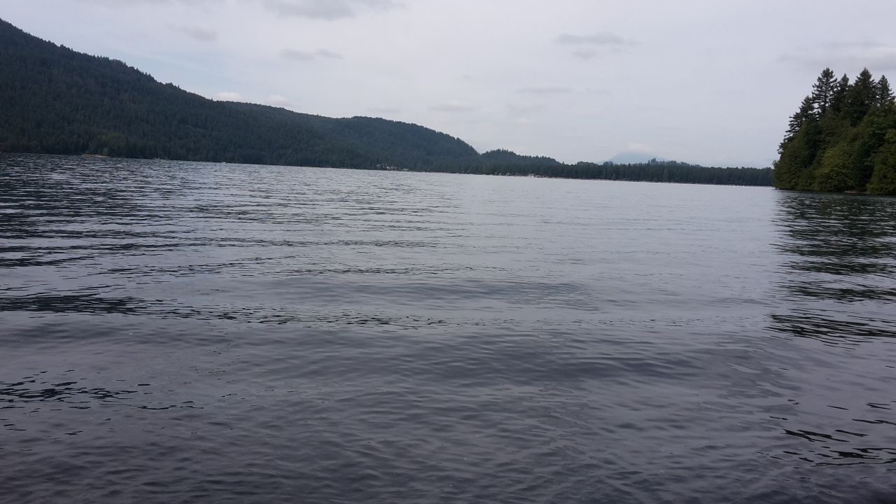 cultus lake swim