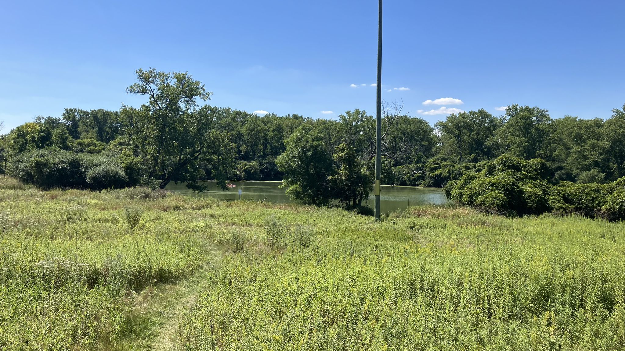 Sunny grassy field with a pond and dense trees in the background. - Skokie Lagoon 5 – Skokie Lagoons loop from Glencoe