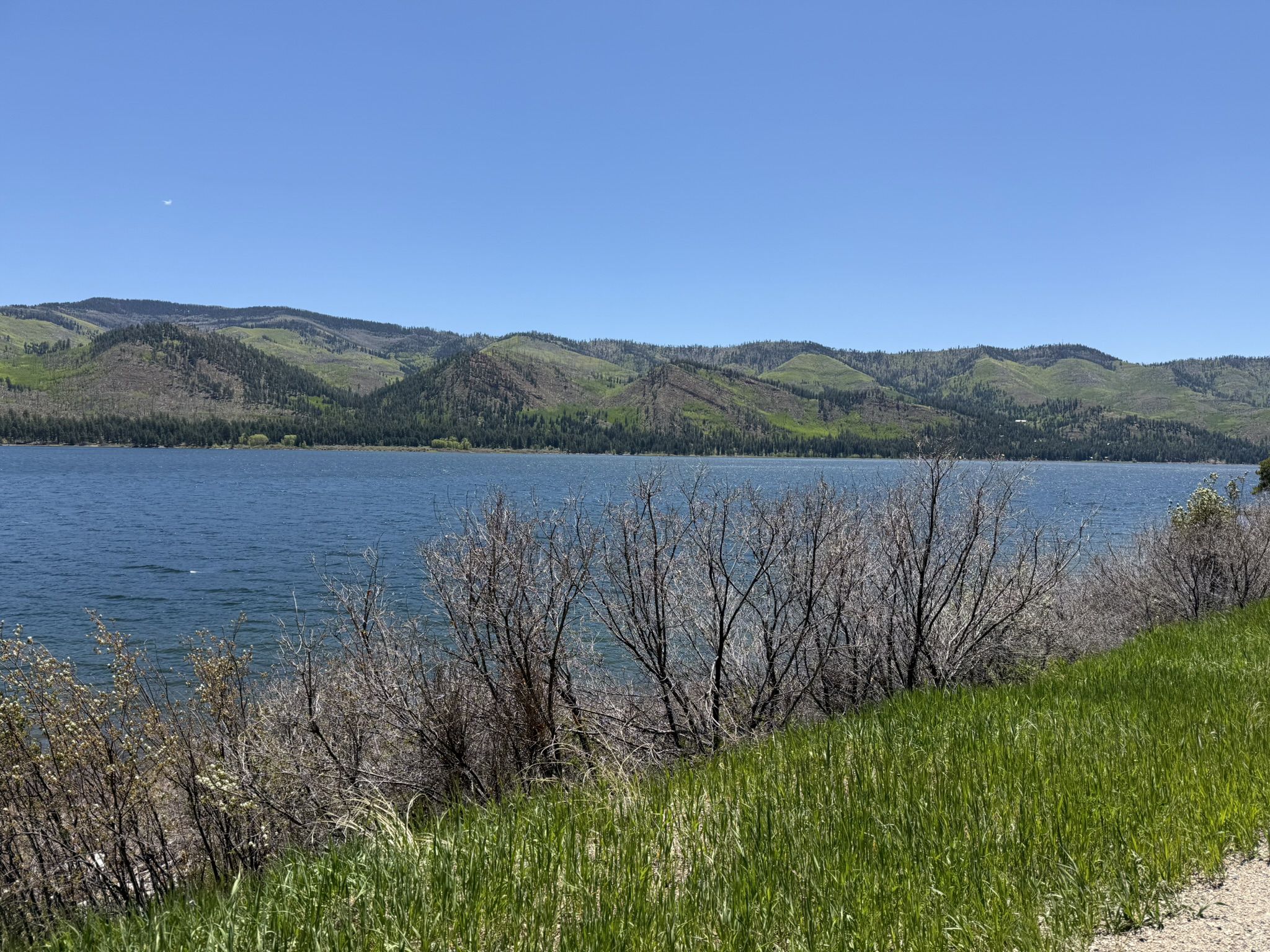 Wide blue lake with distant green mountains under a clear sunny sky. - Vallecito Reservoir loop gravel
