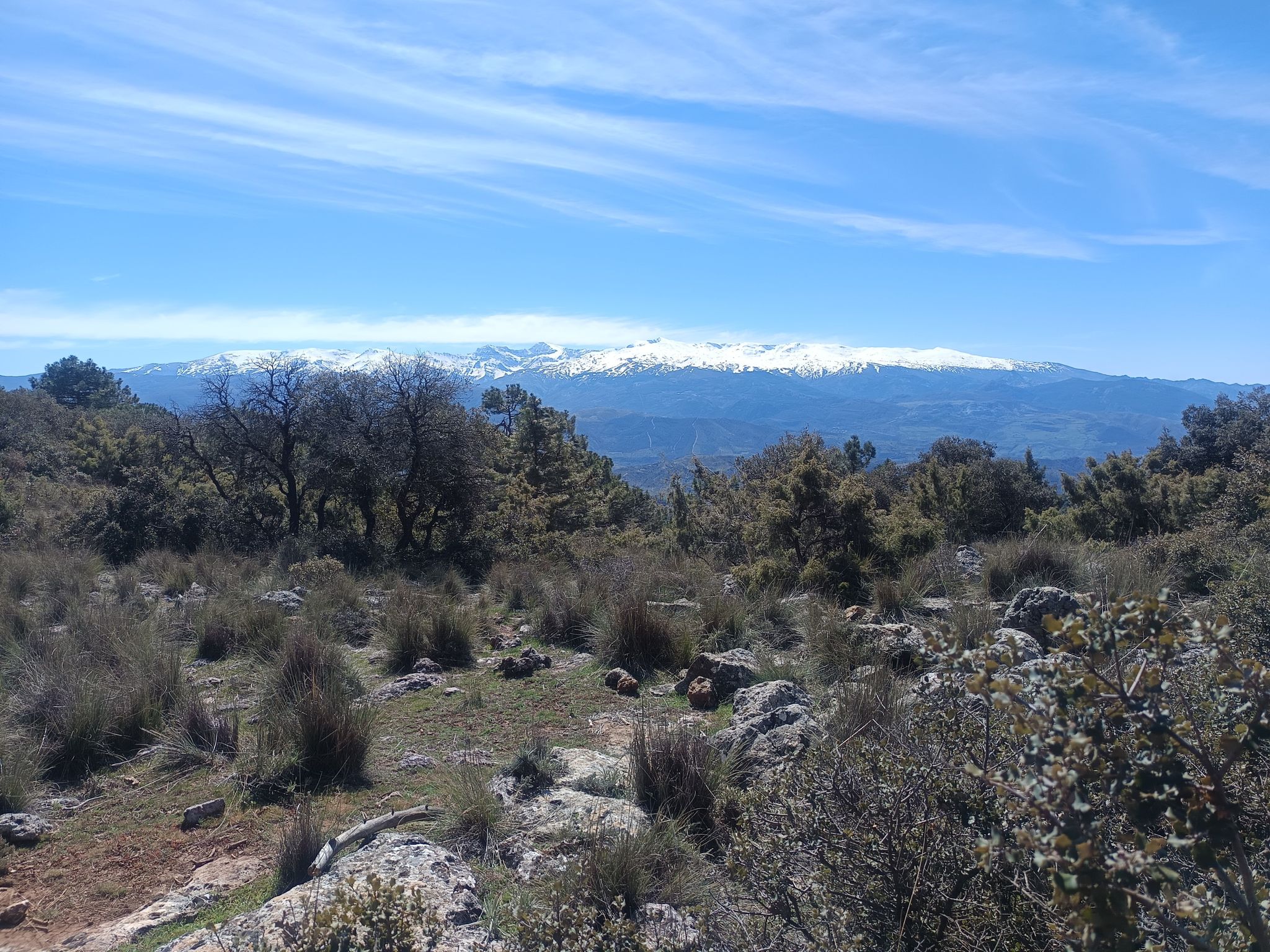 sierra nevada