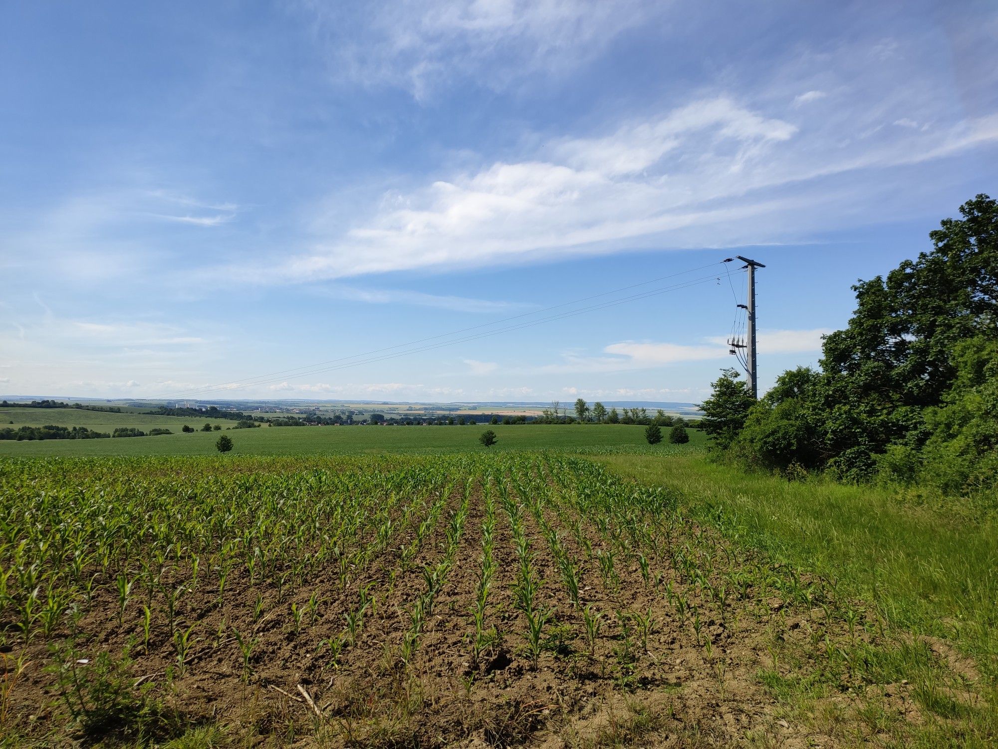 Ulrichsruh