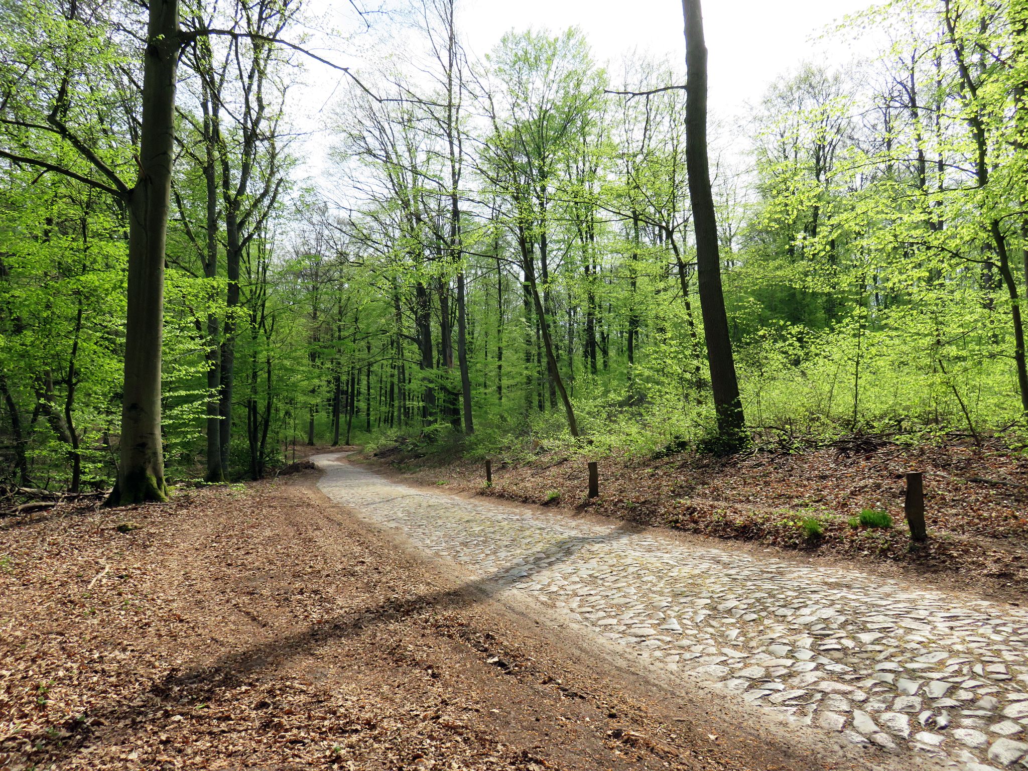 Brodowiner Dorfstraße