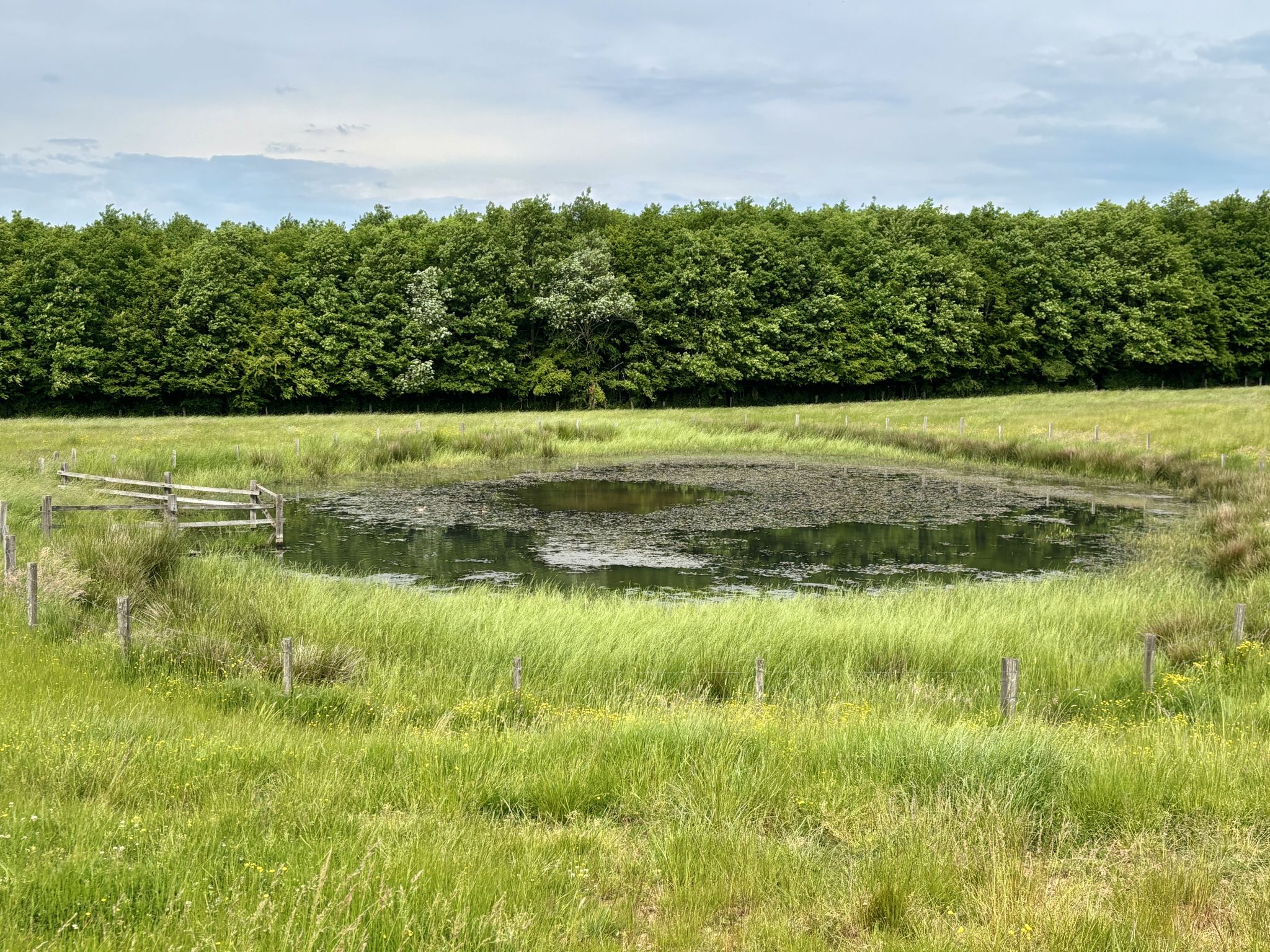 La mare prairiale de Léning