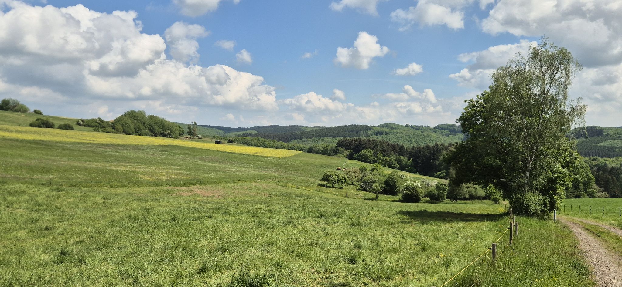 Jetzt wandern wir in herrlichem Sonnenschein
