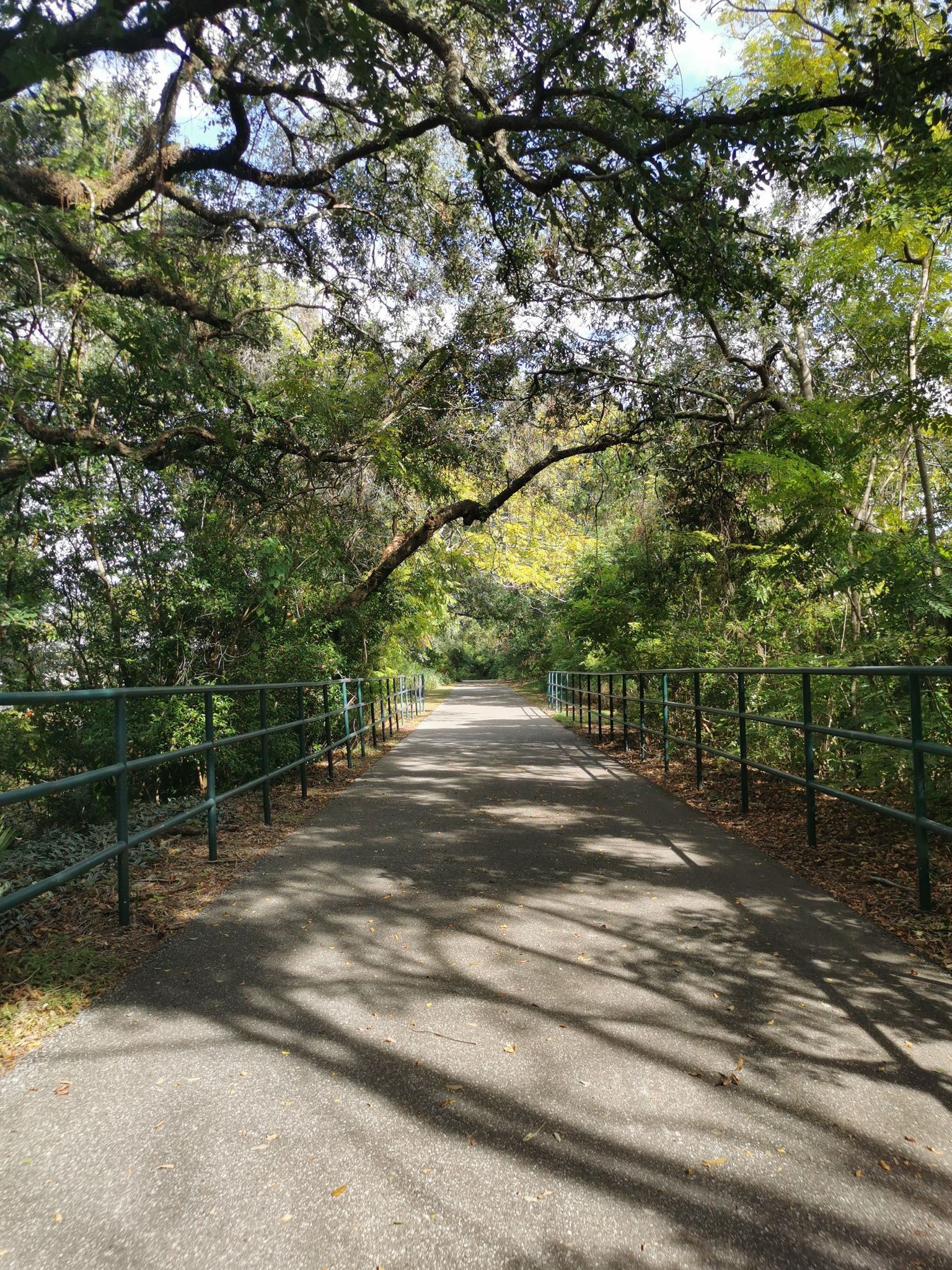 A paved path shaded by large green trees with railings on both sides. - Seminole Wekiva Trail – Paint the Trail Artwork [Just past mile marker 7.25 EB] loop from Winter Garden