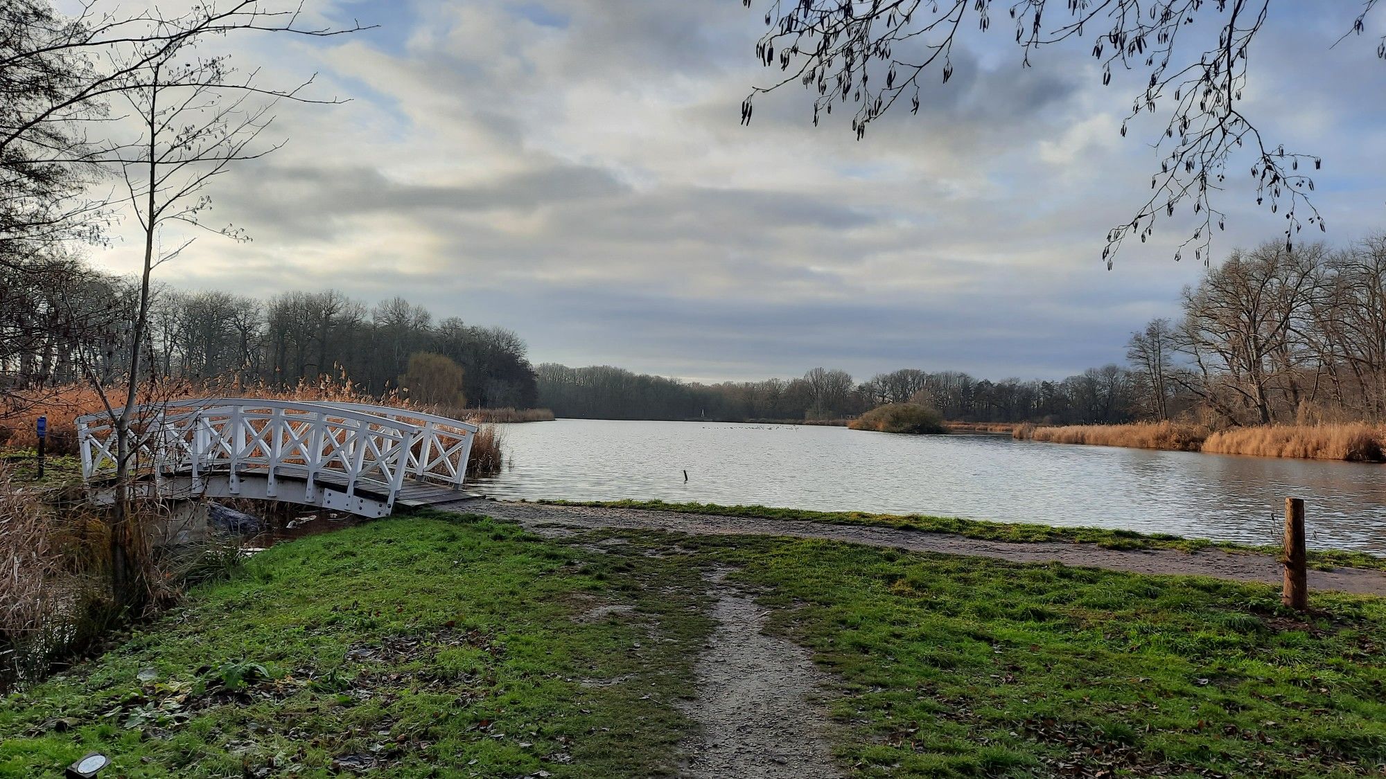 Dieskauer Park