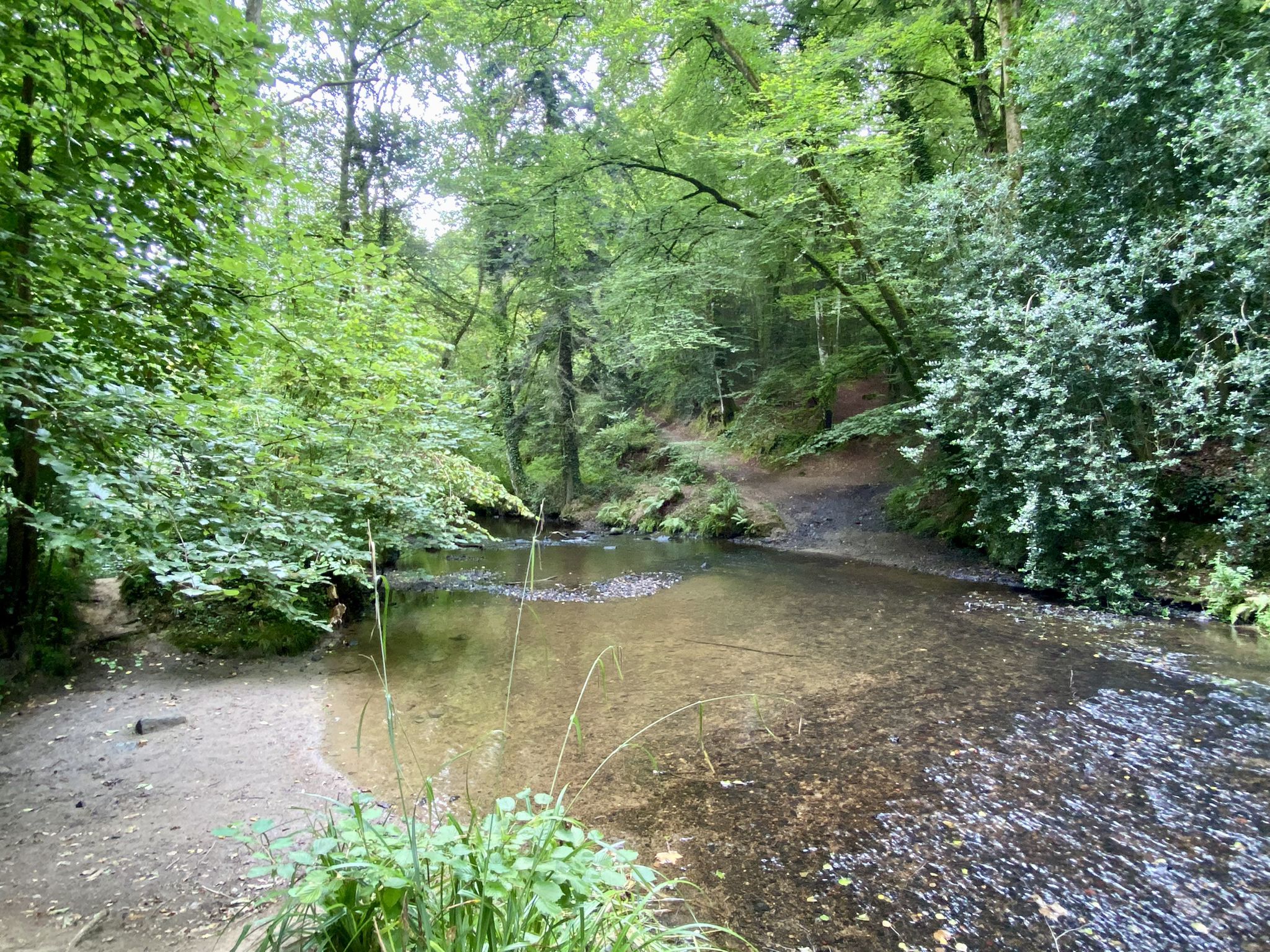 Le gué du cerf