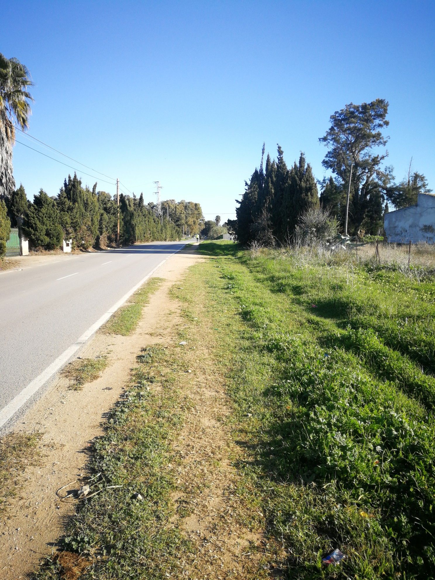 Camino de la Jara dirección S. Barrameda