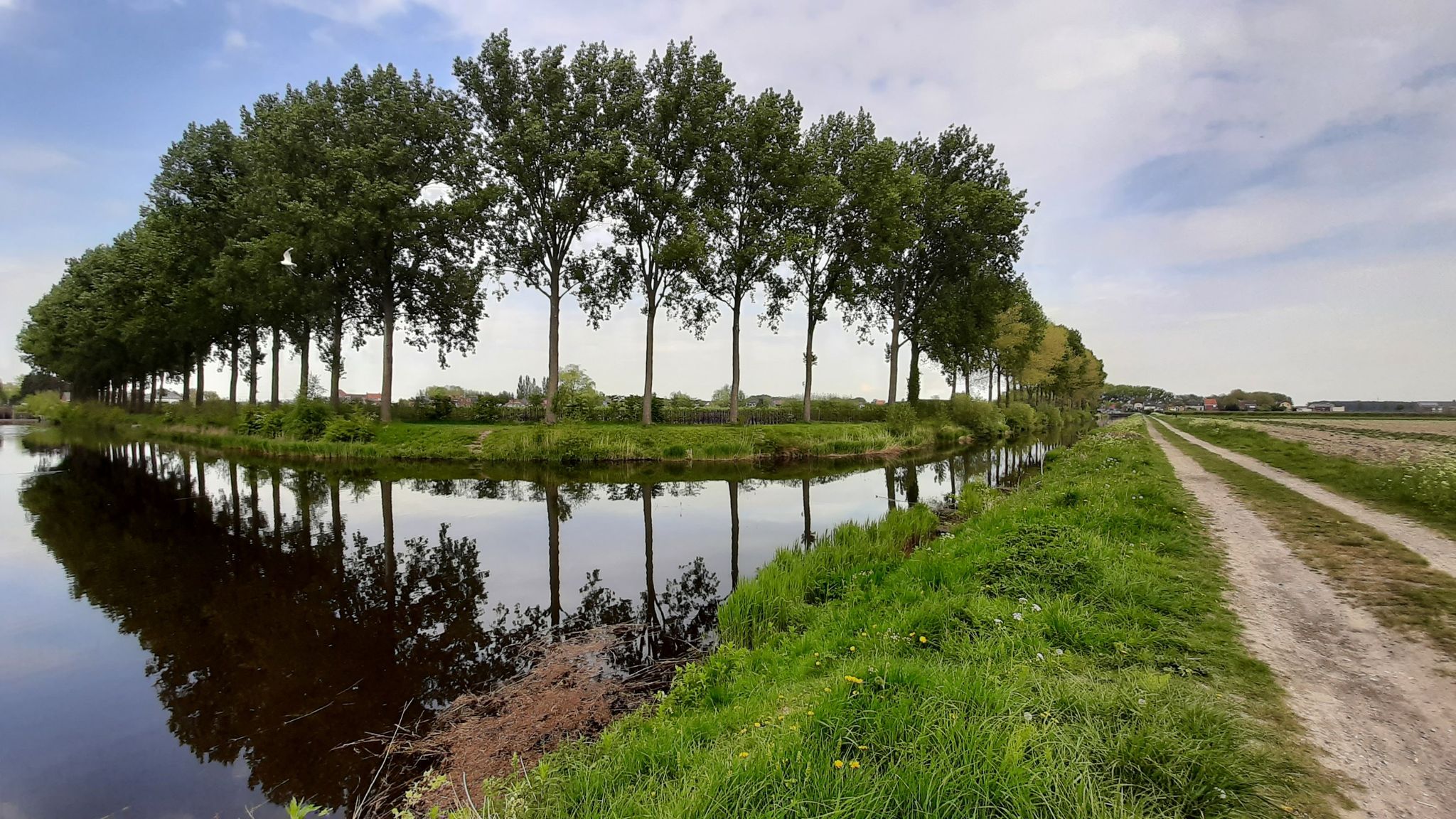 T kruispunt Leopoldskanaal  - Isabellahaven