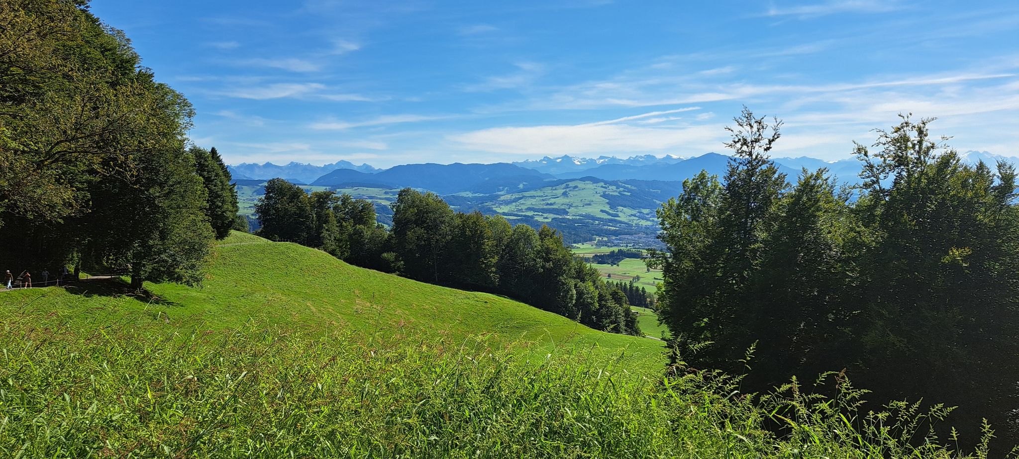 viewpoint