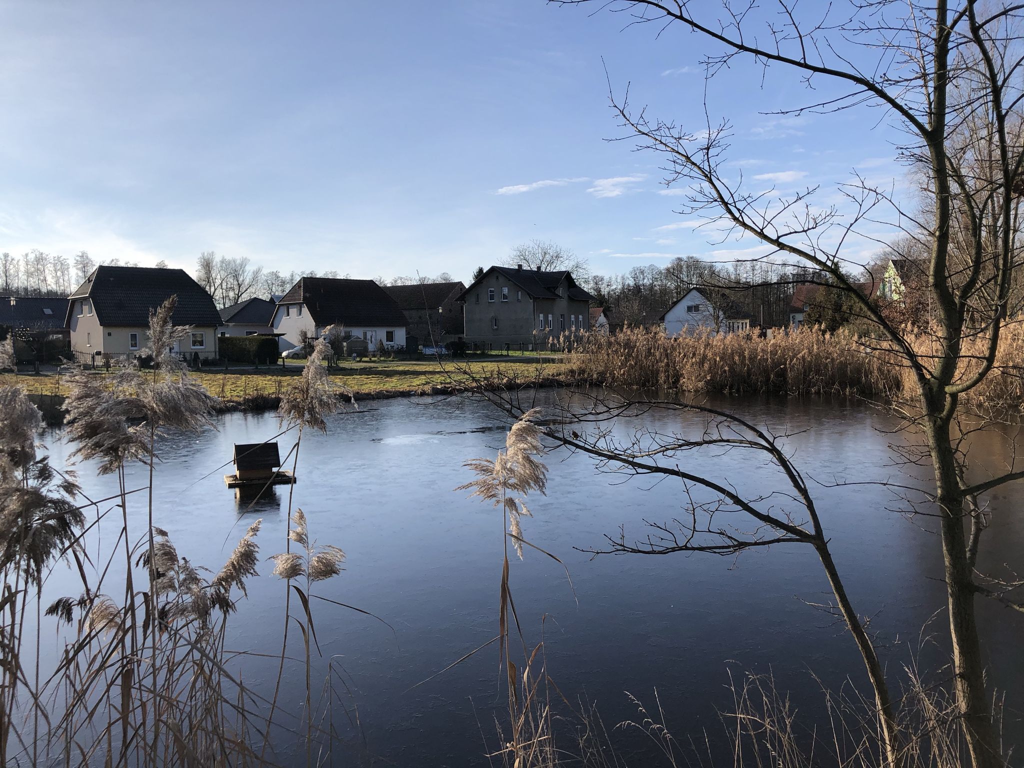 Dorfteich Bestensee