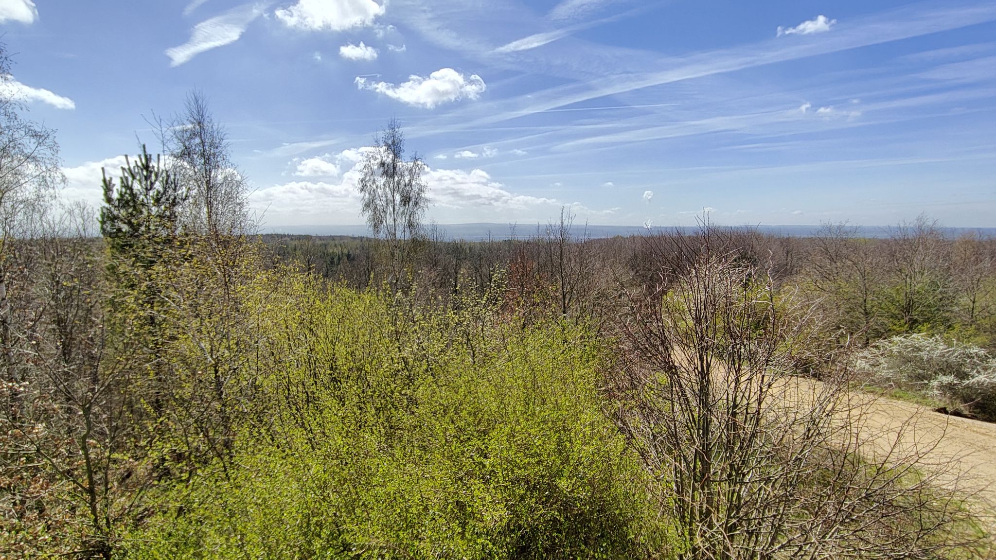Die Erhebung am Horizont ist die Gegend um Lammersdorf