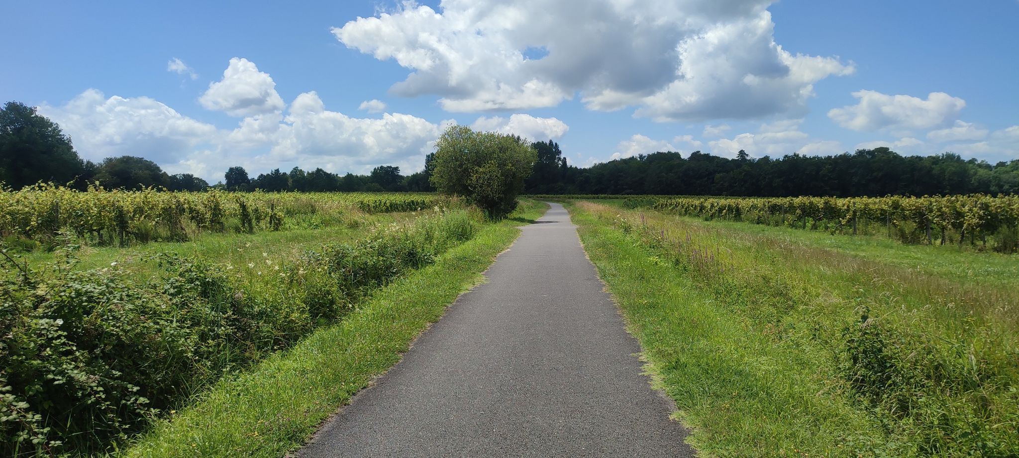 Bahntrassenradweg EV3 und D805 nach Hostens