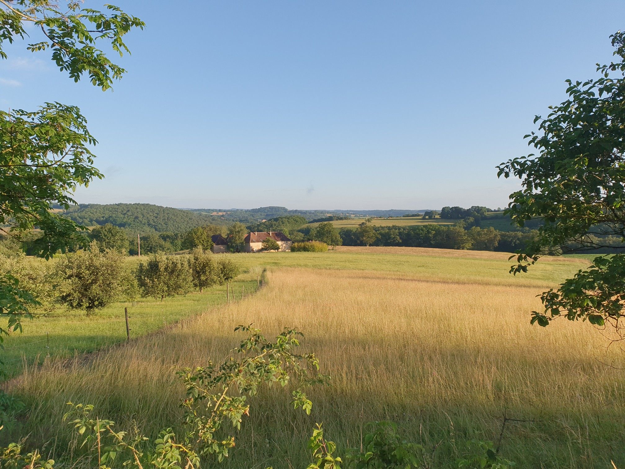 Weitblick