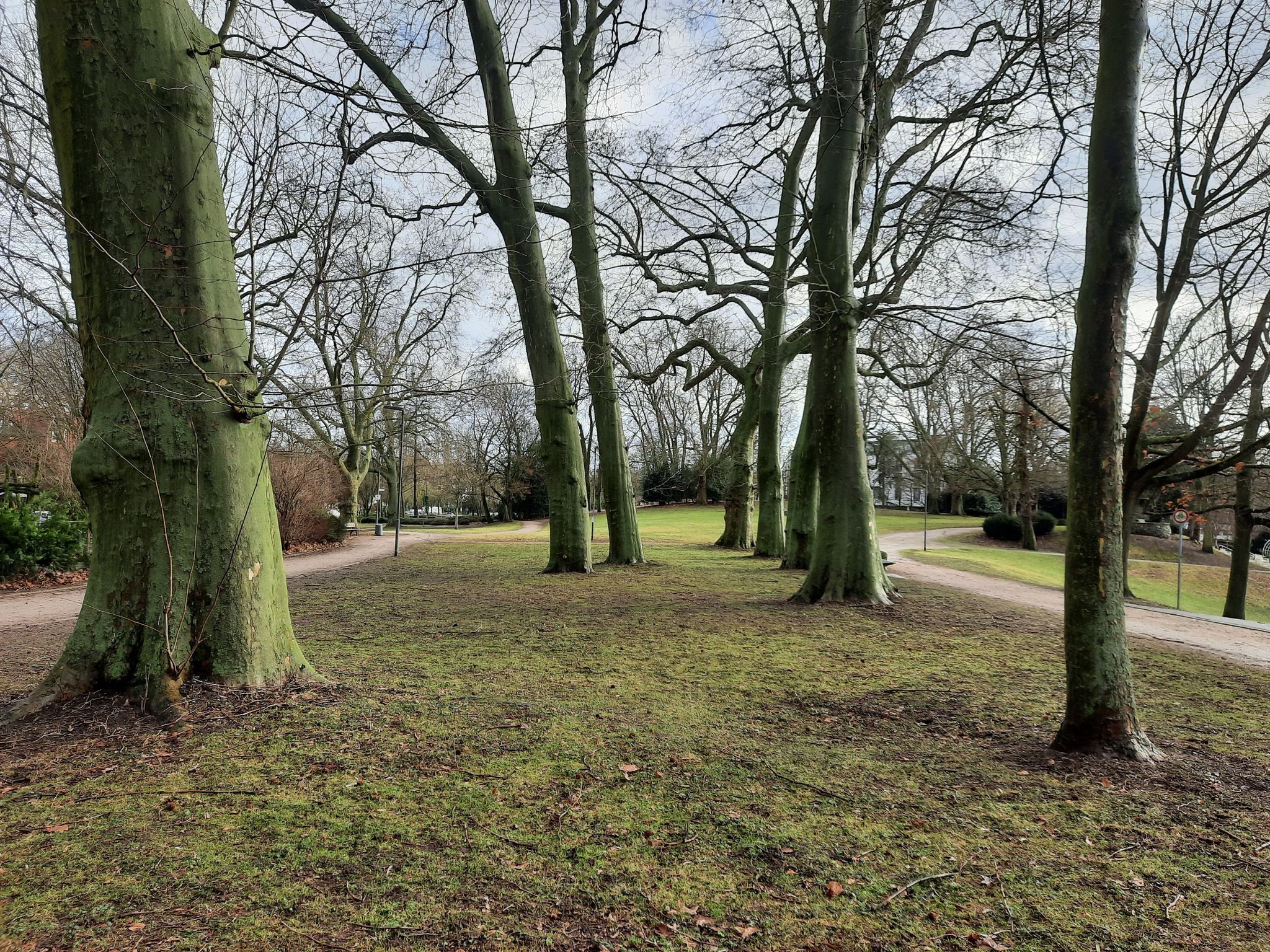 Stadtgarten