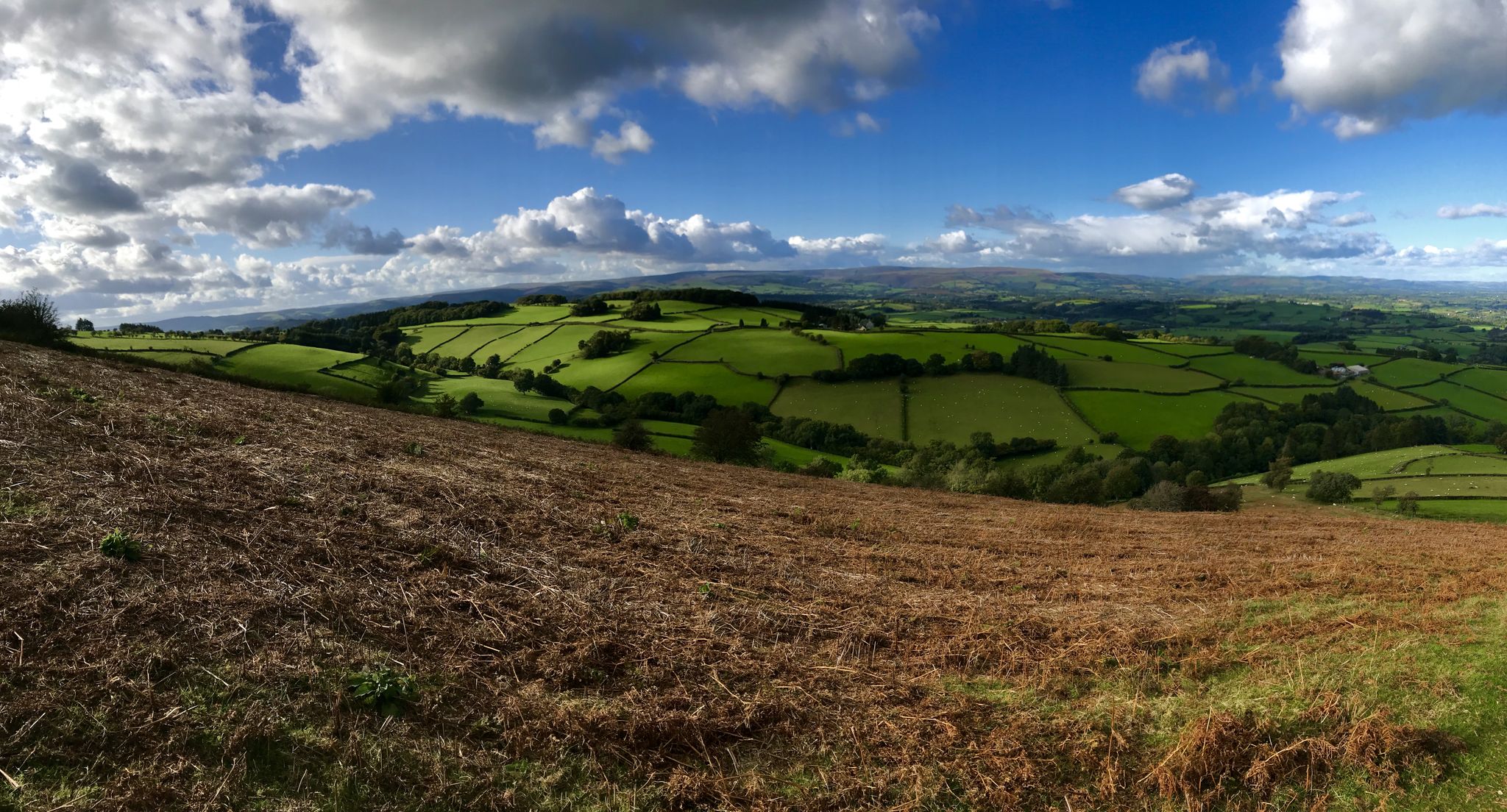 Mid Wales countryside.