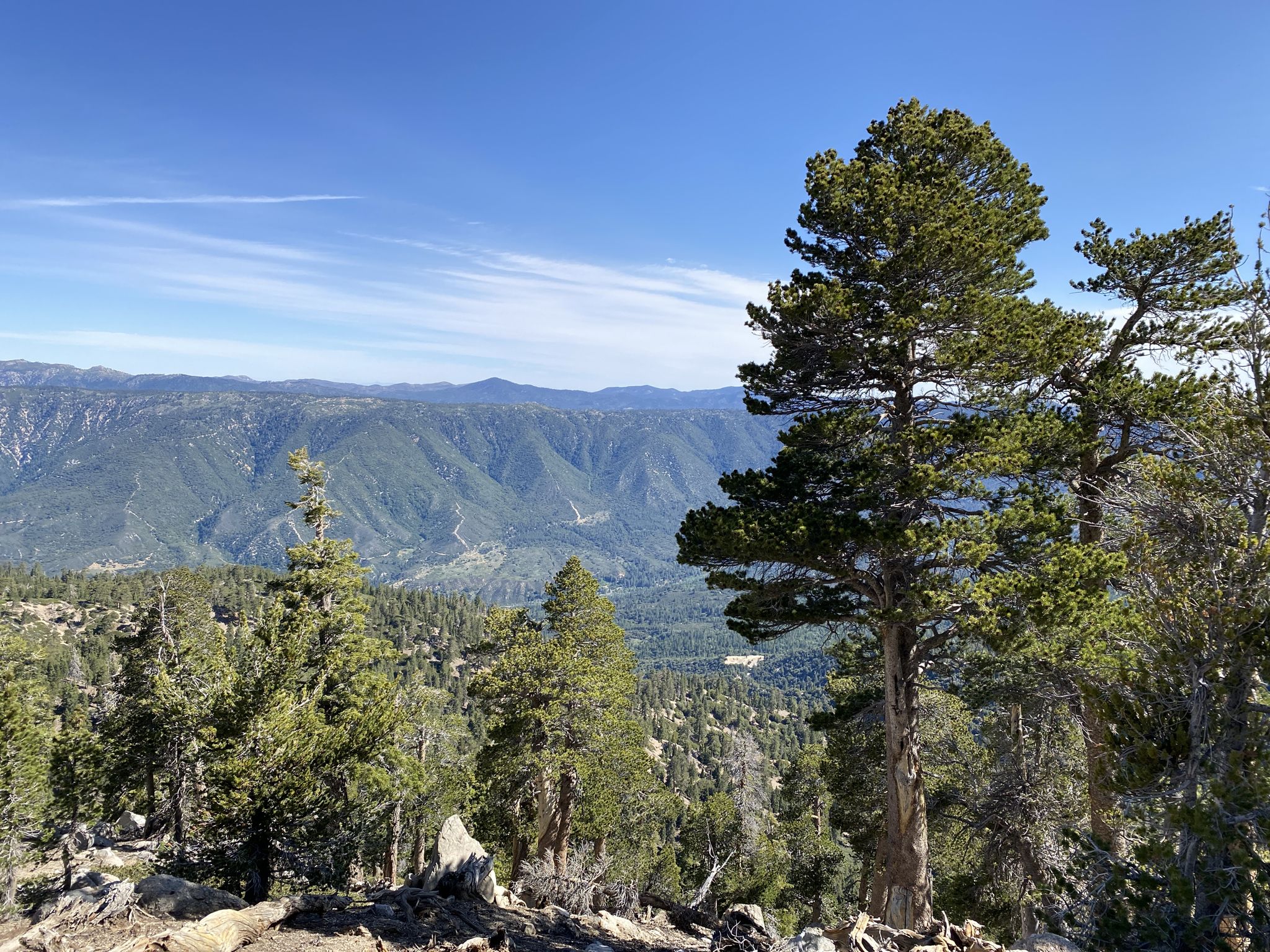 Mountain landscape with pine trees in foreground, distant peaks under clear sky. - San Bernardino Peak Trail via Angelus Oaks
