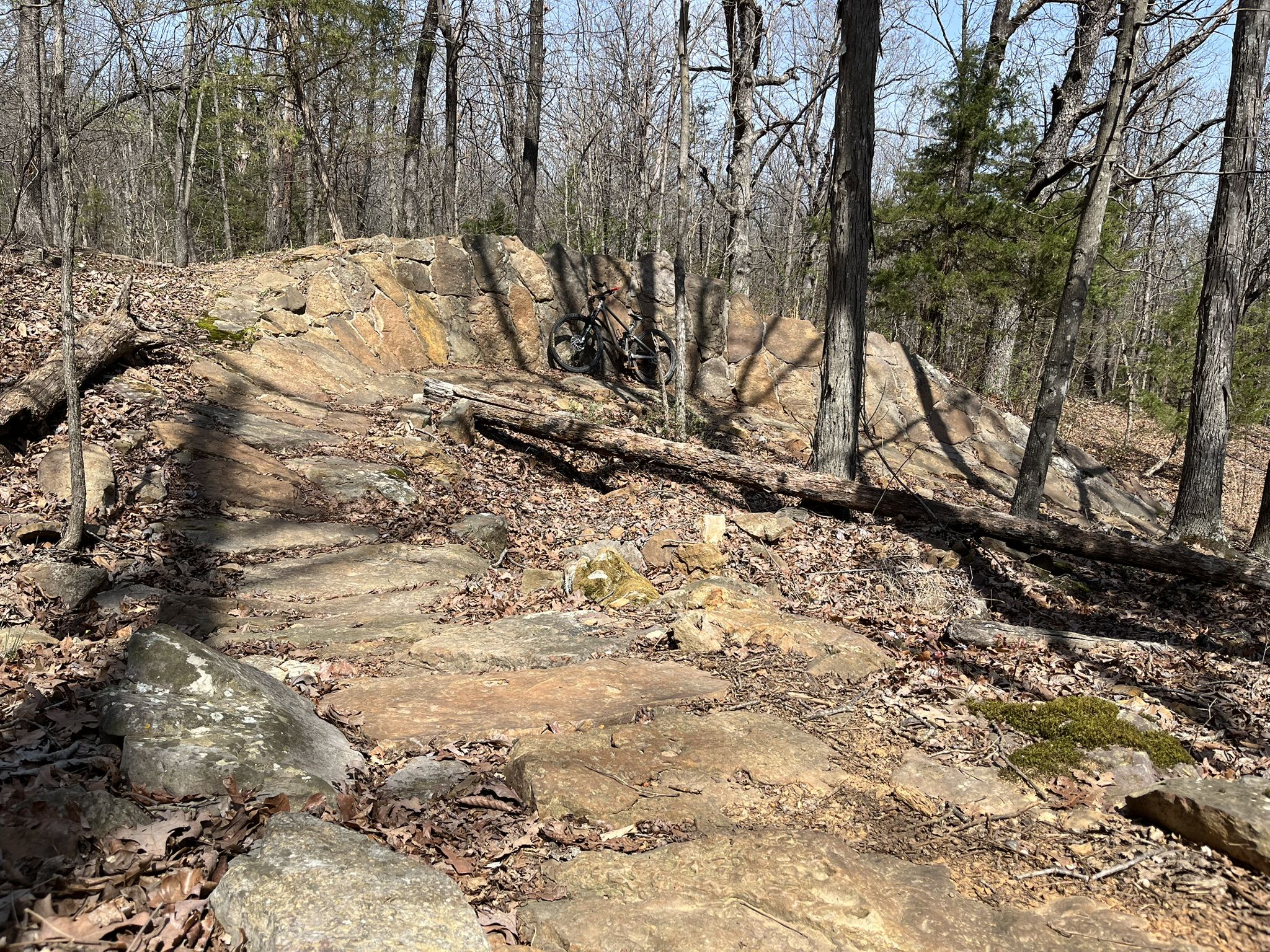 Mountain bike parked on a sunlit, rocky forest trail with bare trees. - Best Trail Ever, Butterfield, Fitzgerald, and Coyote Cave Loop