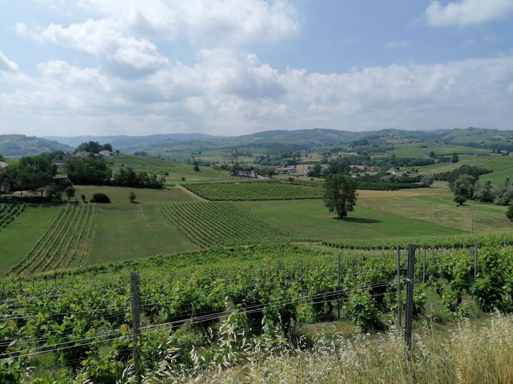 Vista su Boglietto di Costigliole d'Asti