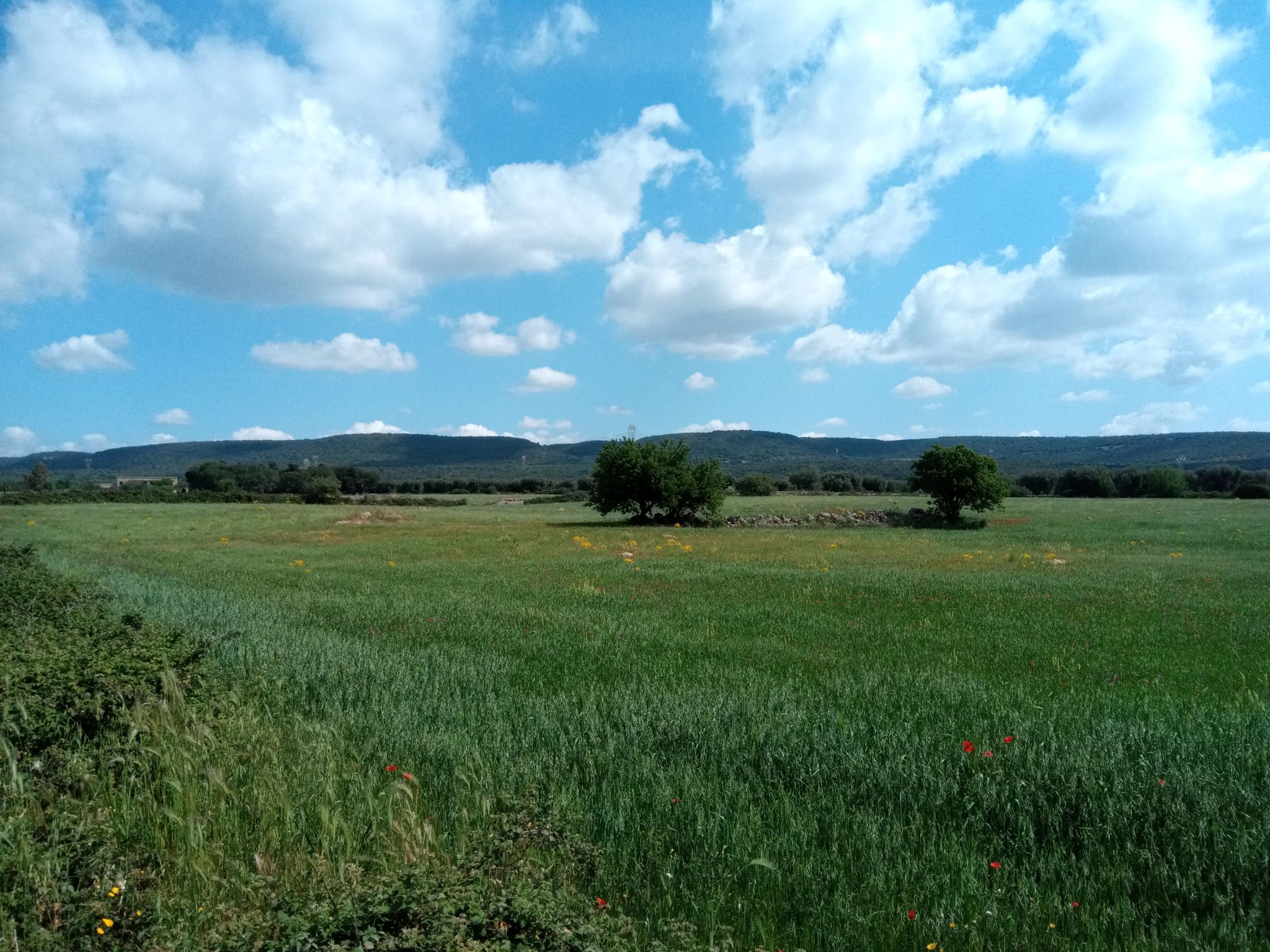 Countryside