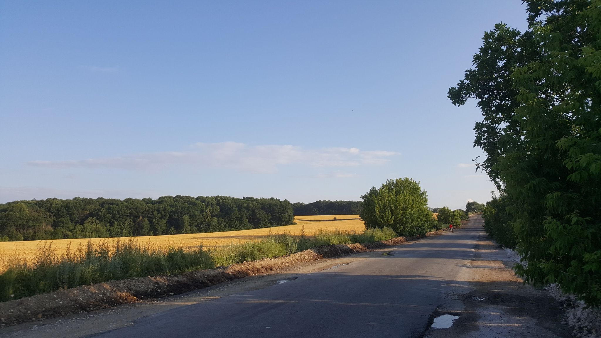 fields