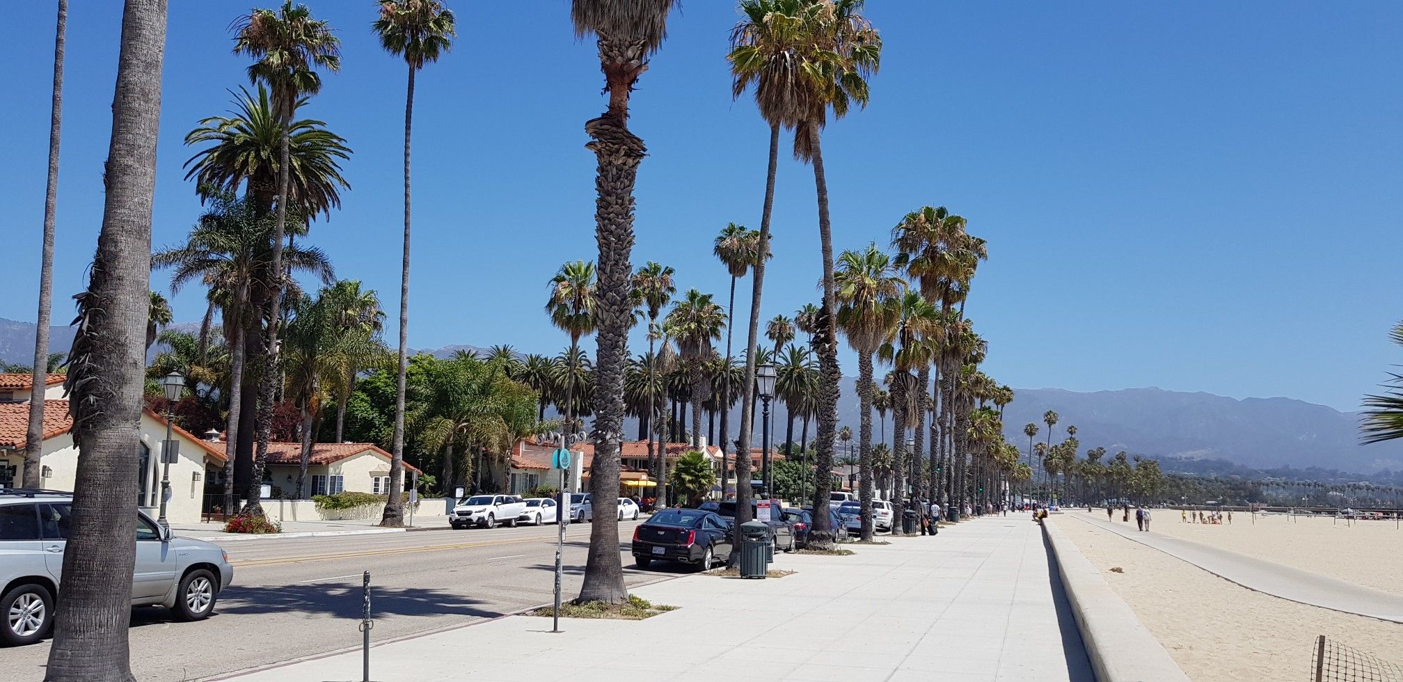 Palm trees line a sunny street and boardwalk next to a beach. - Santa Barbara Loop