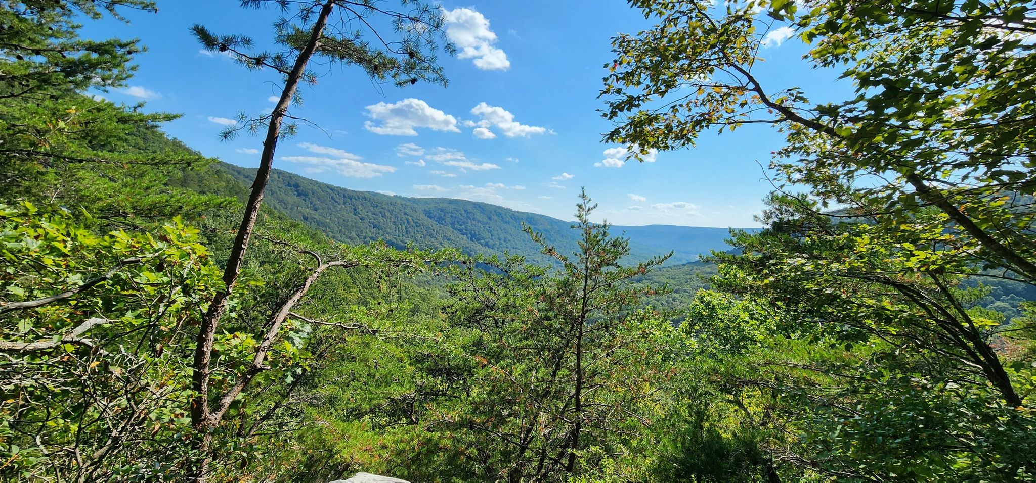 Expansive view of green forested mountains under a bright blue sky with clouds. - Mullens Cove Loop Trail