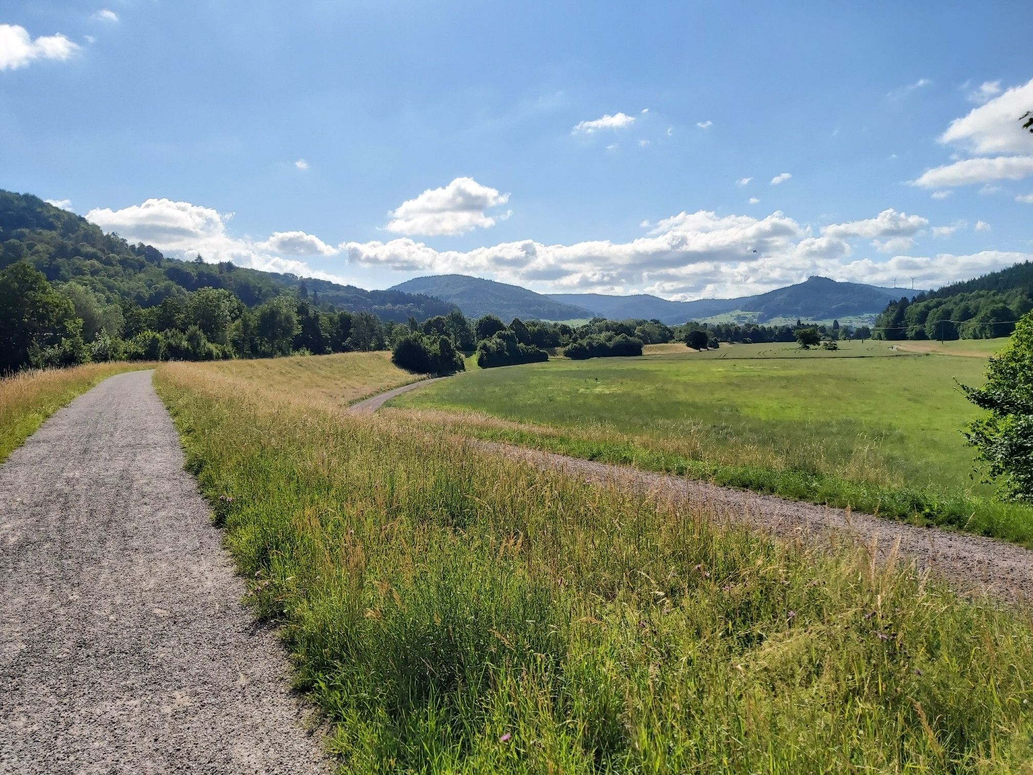 Blick in' s Schuttertal 