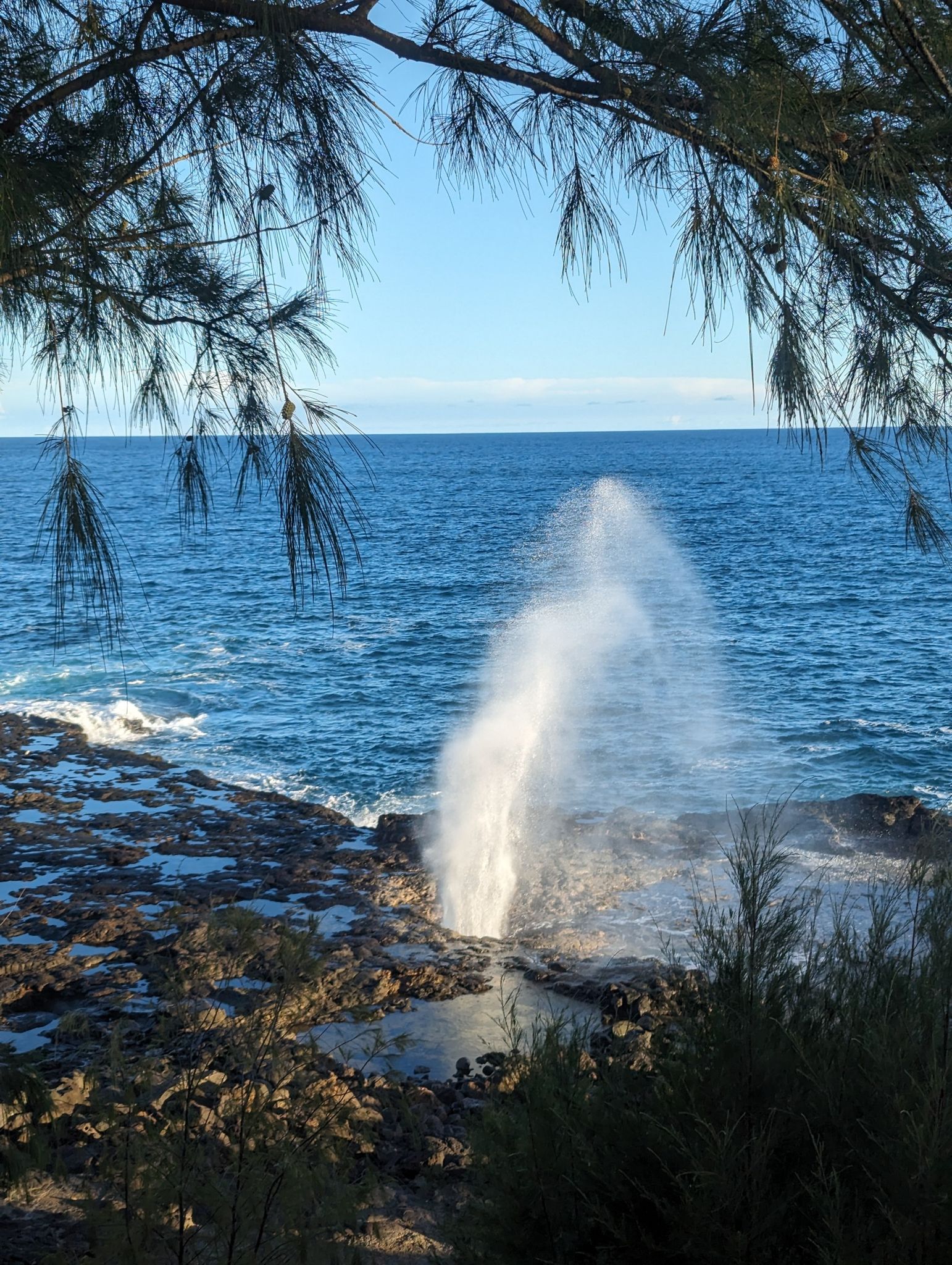 Water spouts high from a coastal blowhole under a clear blue sky. - Koloa Heritage Trail
