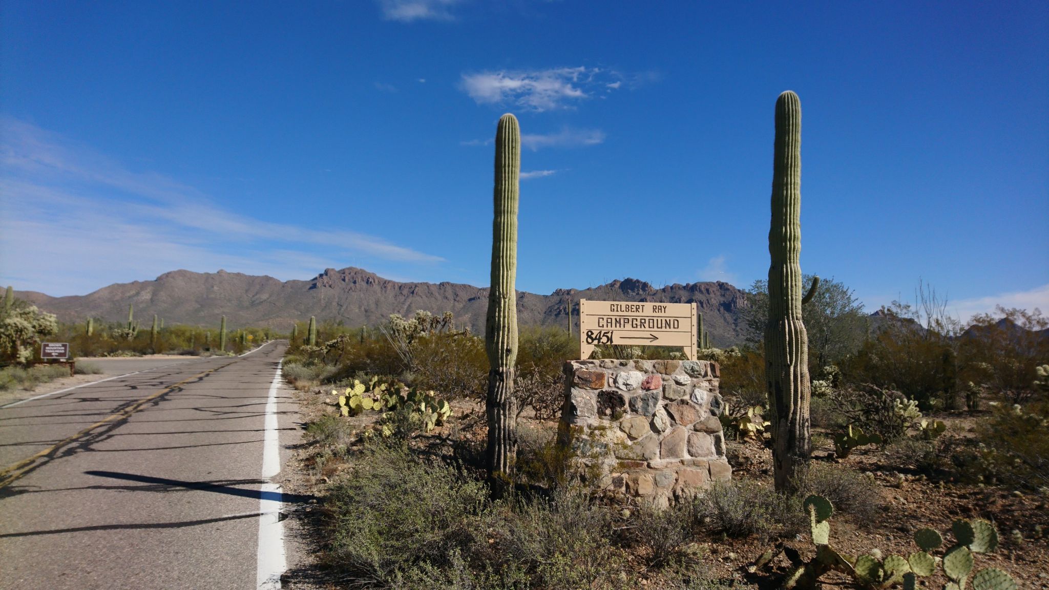 A paved road leading to mountains, with a signpost flanked by two saguaros. - Gates Pass and The Loop