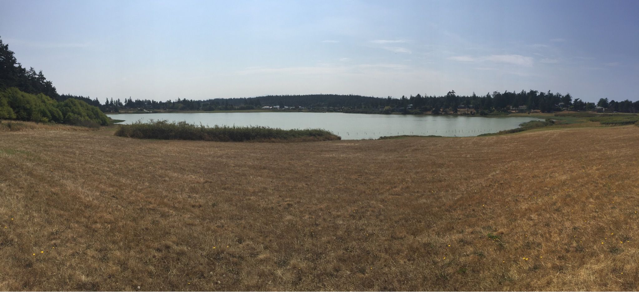 Panoramic view of a calm body of water surrounded by dry grass and distant trees. - Chinese Gardens Trail