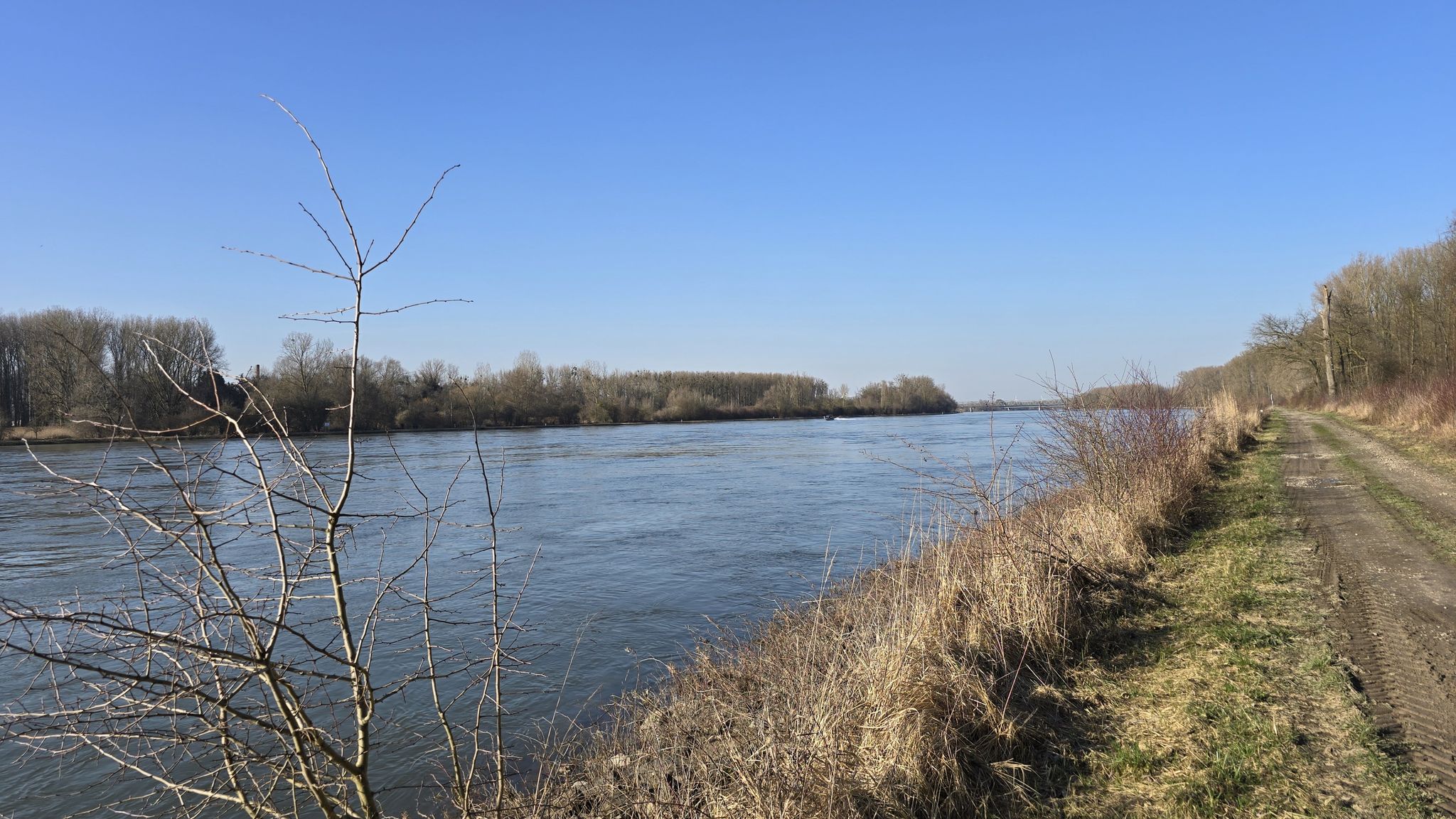 Rhein
