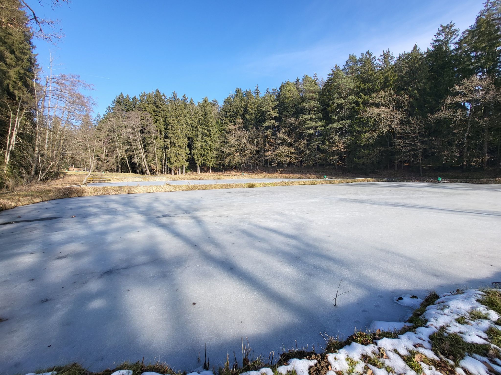 Fischteiche in Krapfnbruck