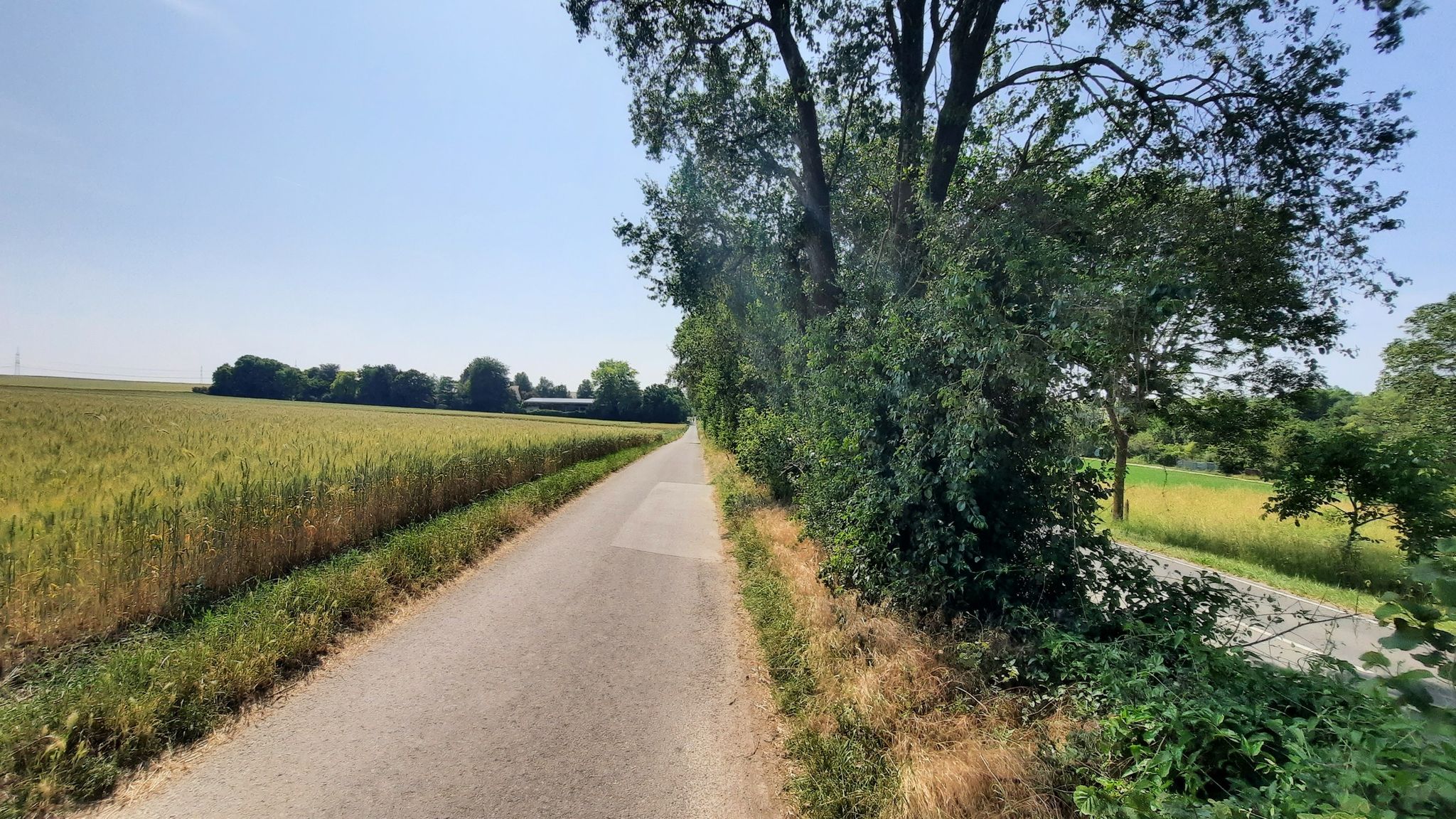 Mühlen-Radweg neben Friedrich-Ebert-Straße in Osthofen