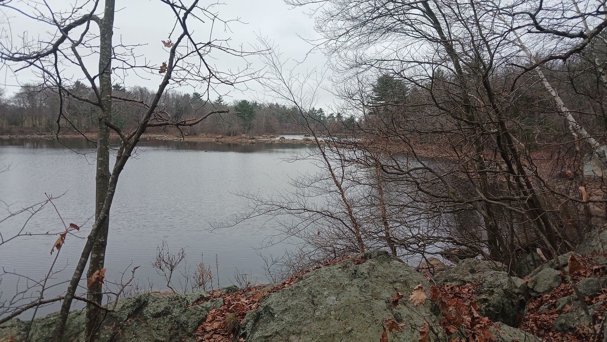 Overcast view of a lake through bare trees and rocky foreground. - Lynn Woods Reservation – Expert Rider's Wonderland