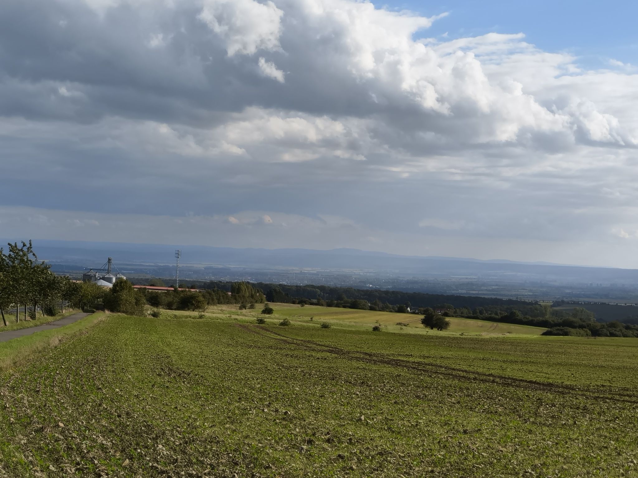 der Inselsberg 