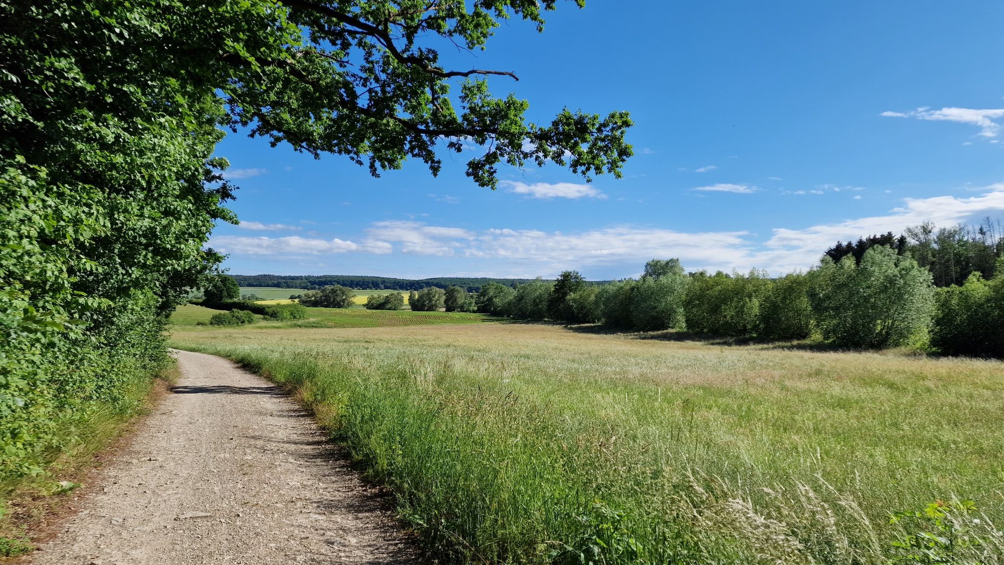 Entlang am Burgberg