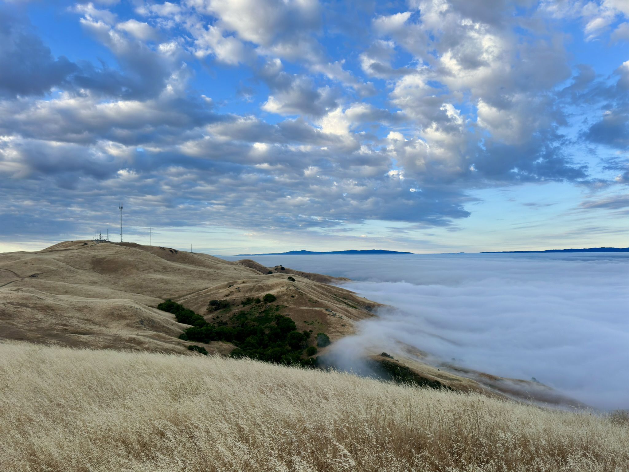 Golden hills meet a thick layer of fog, with a cloudy sky above. - Mission Peak via Ohlone Wilderness Trail